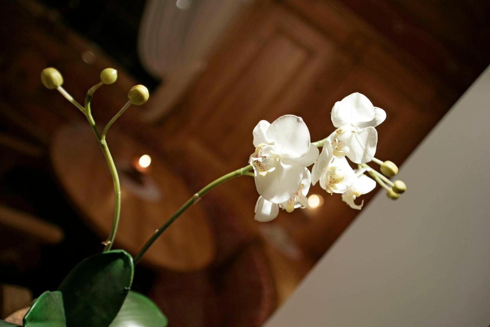 Hotel Al Polo - Photo 61