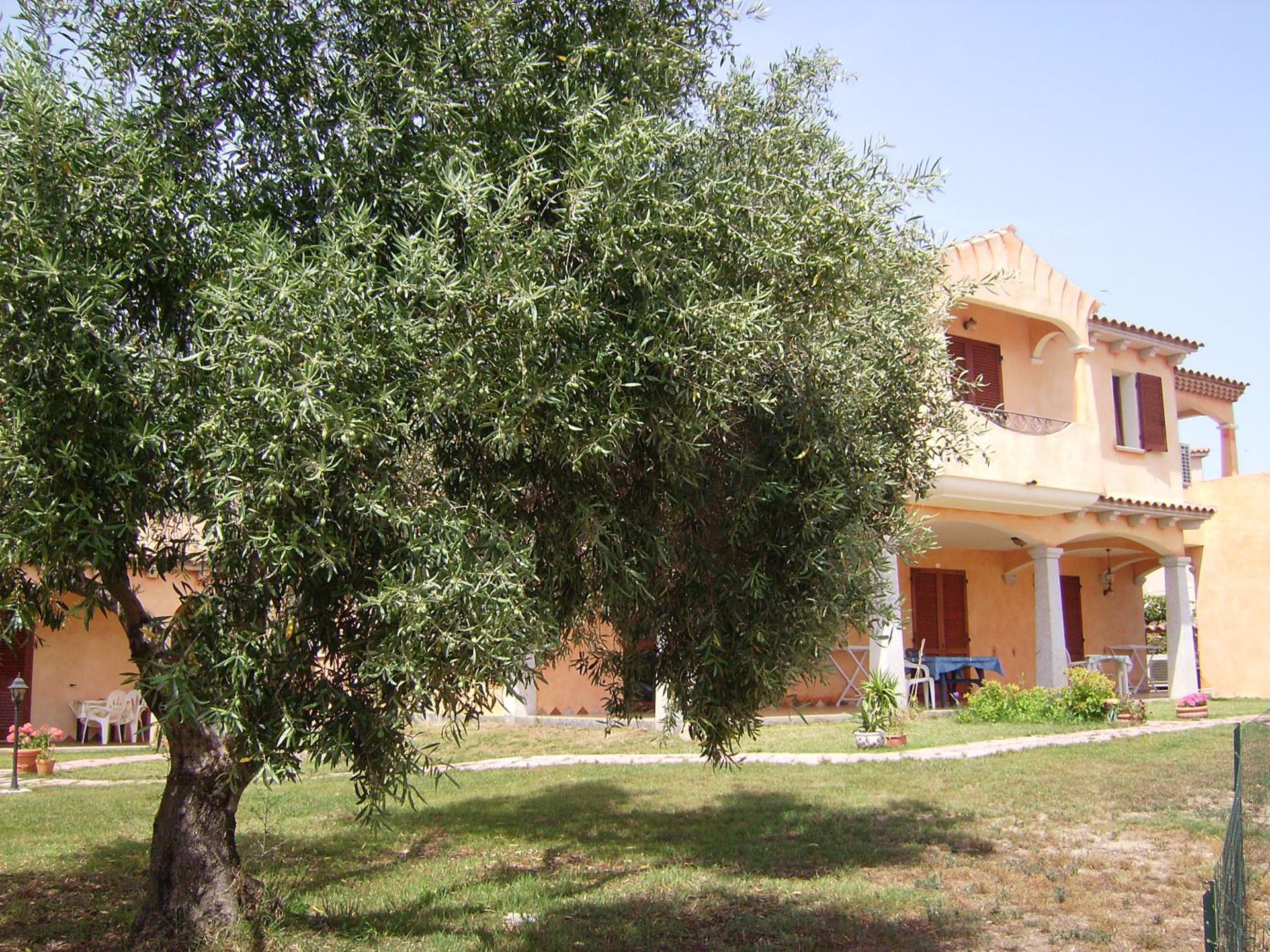 Il Viandante - Photo 58
