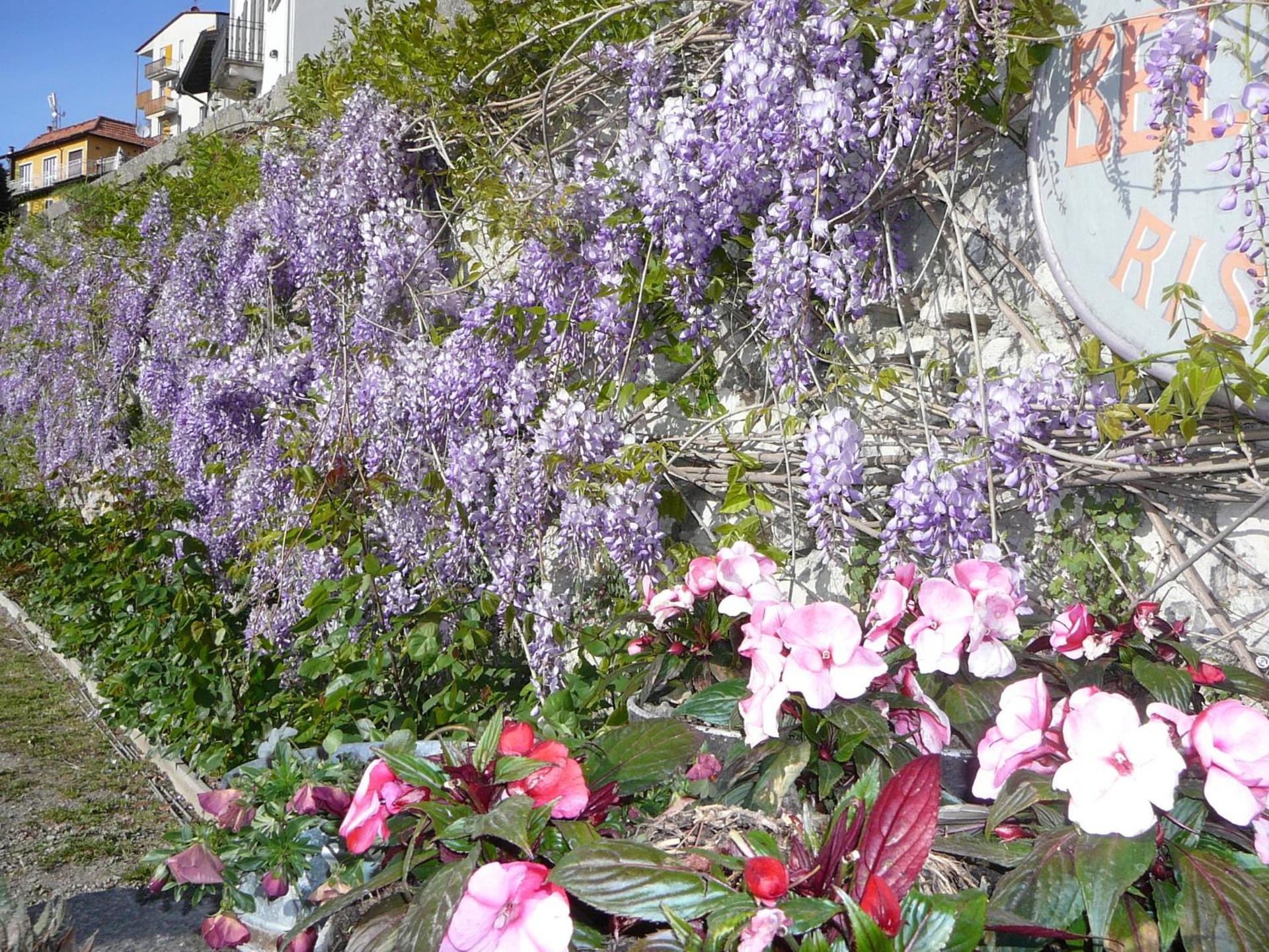 Bellavista Boutique Hotel - Photo 100