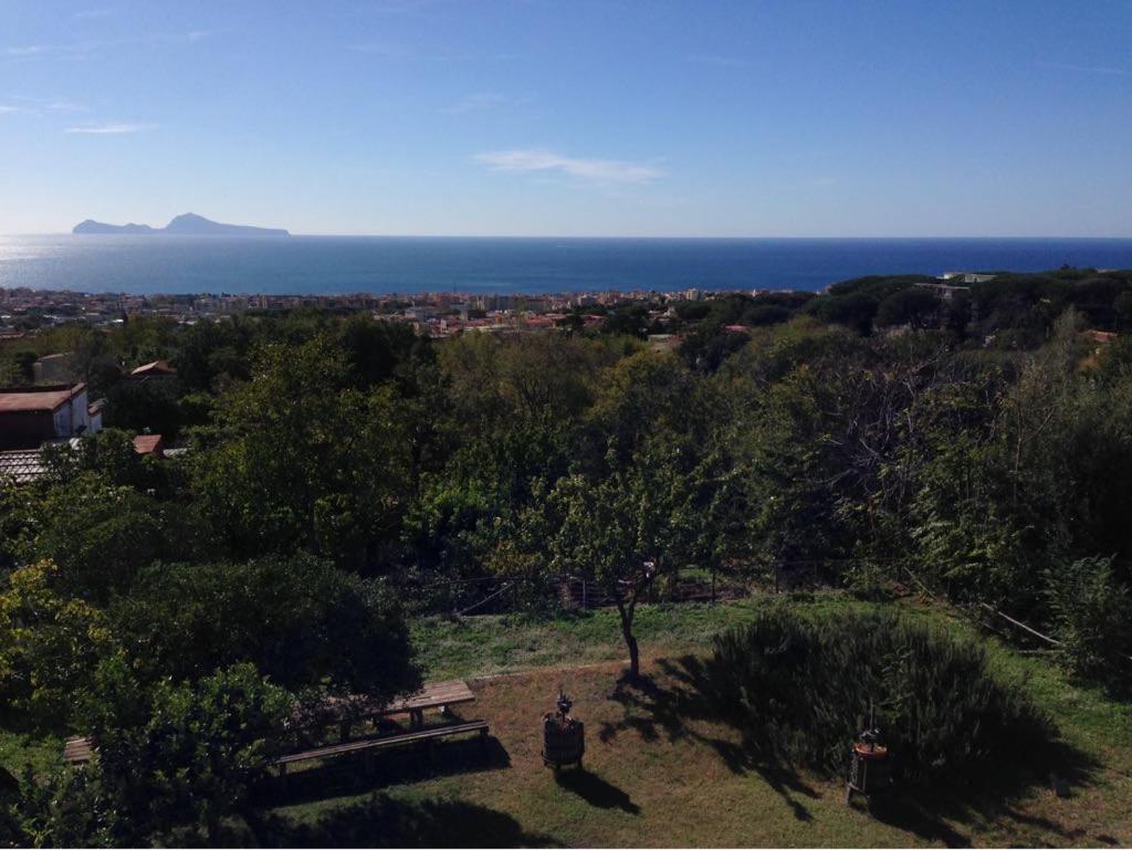 Double Room with Patio