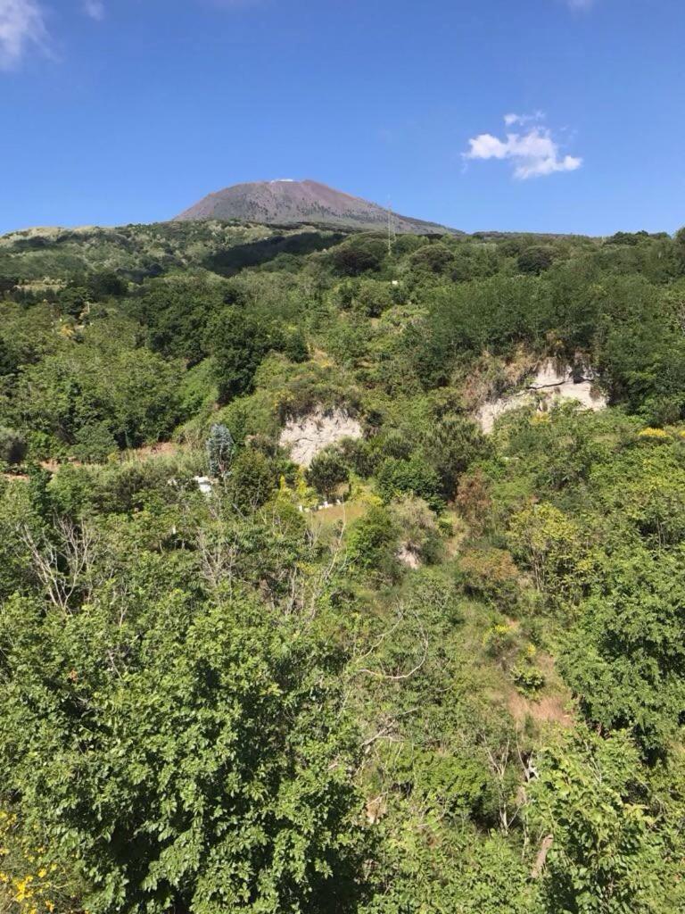 Double Room with Patio - Photo 2