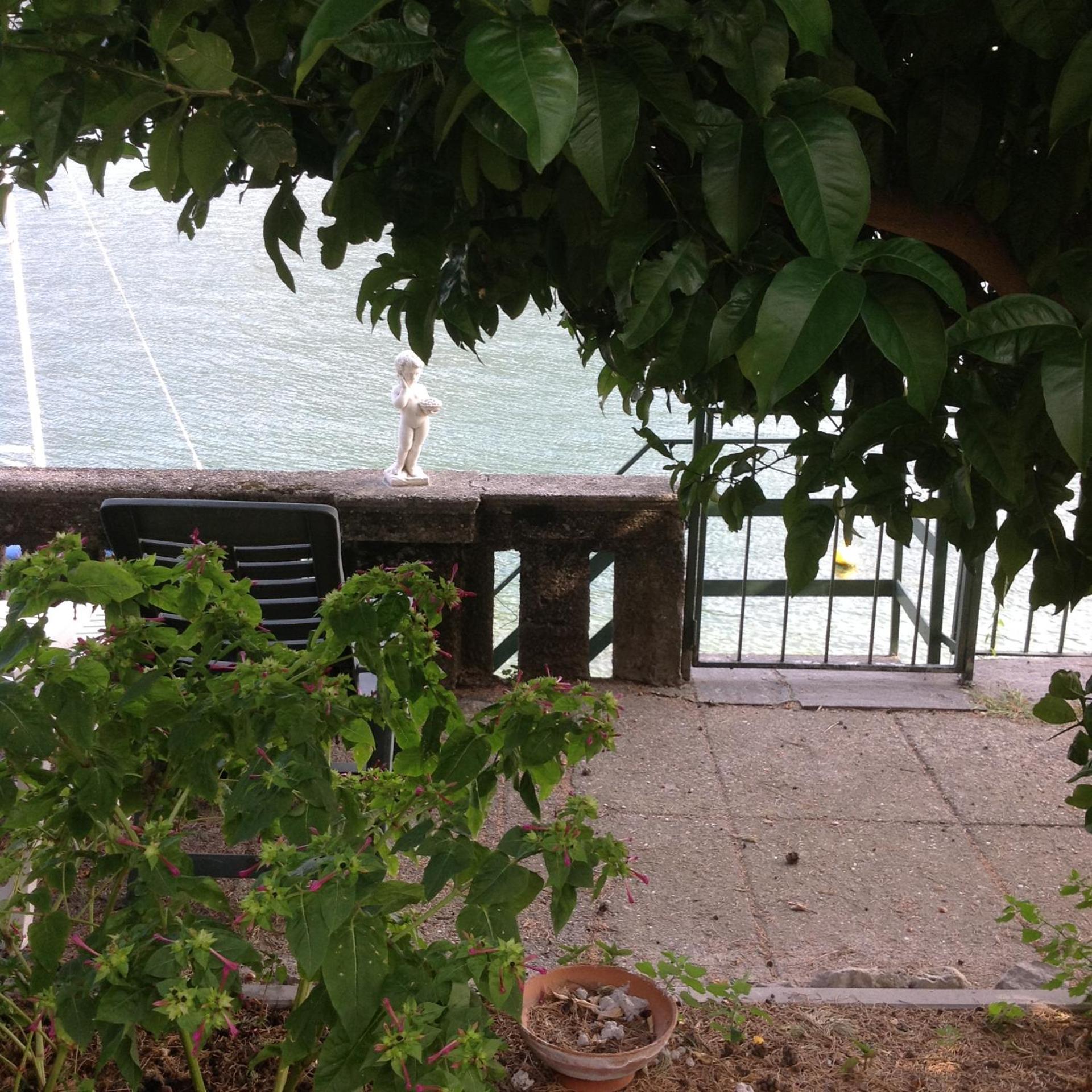 Le palme Antonella - Photo 11