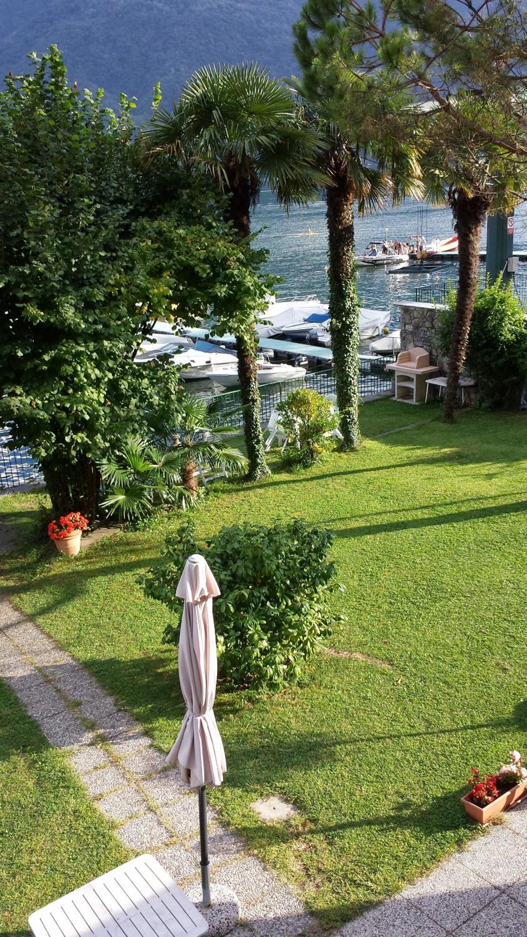 Le palme Antonella - Photo 18