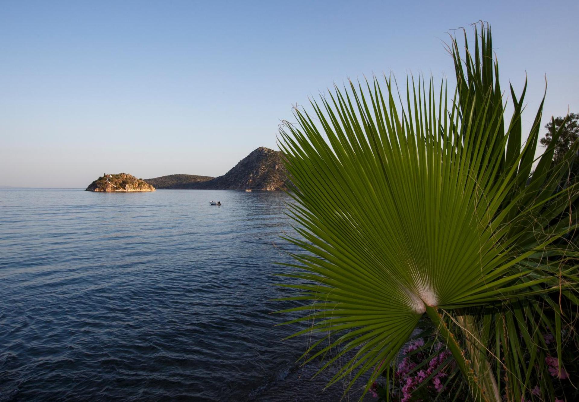 Hotel Tolo - Photo 43