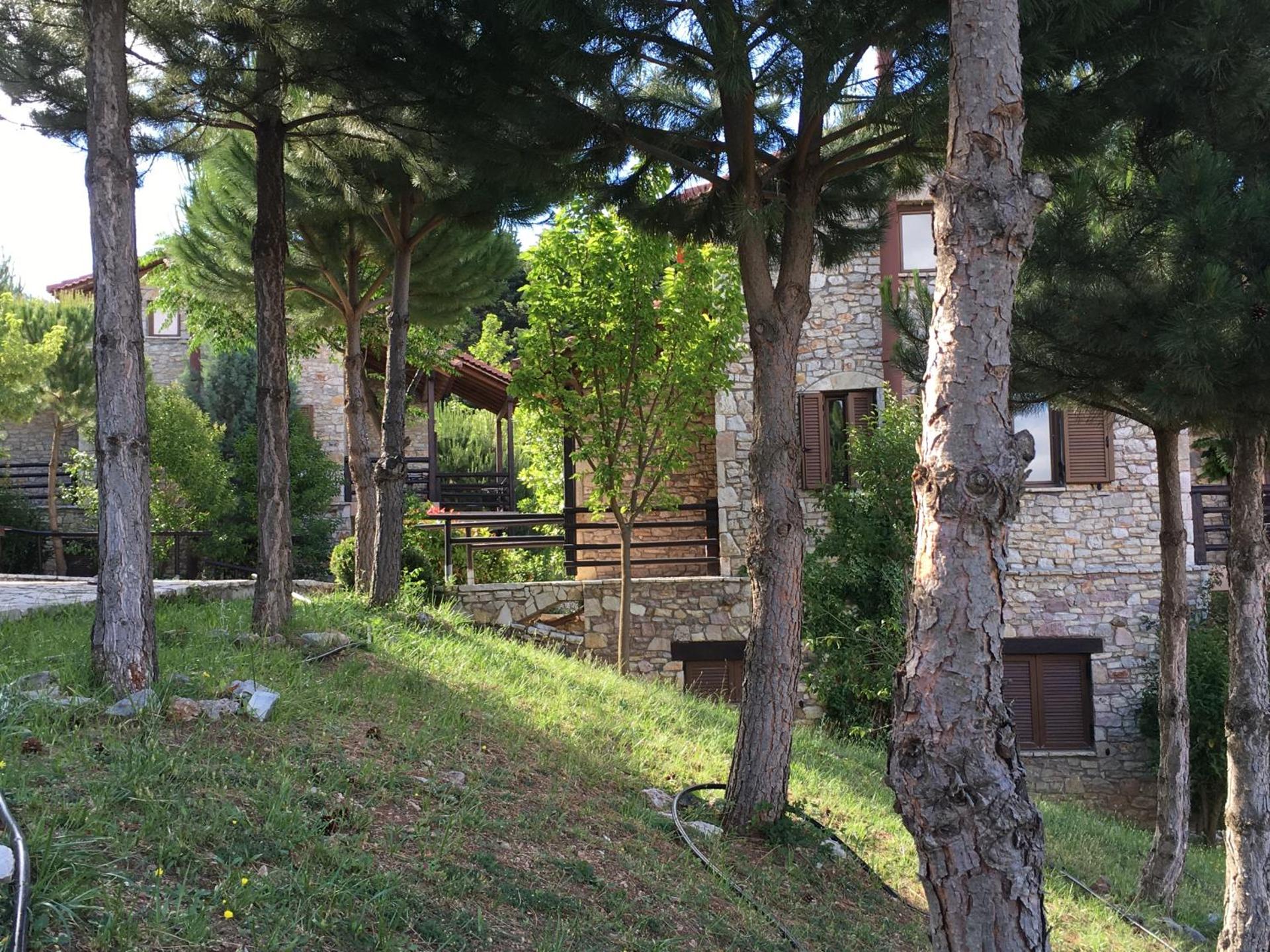 Georgio's V Chalet Kalavrita - Photo 59