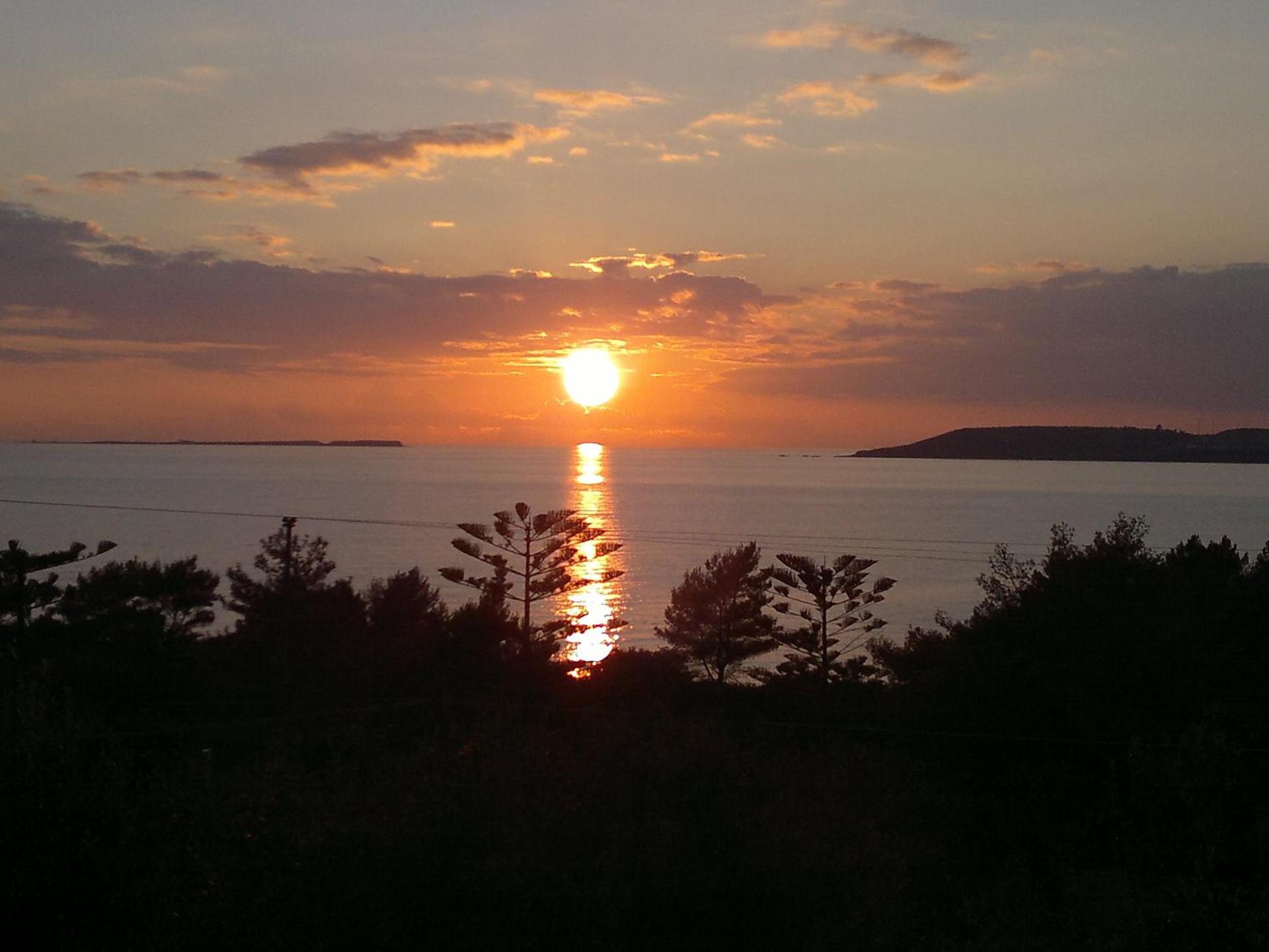 Oskars Studios & Apartments - Photo 108