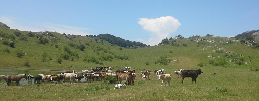 Il Pentagono - Photo 55