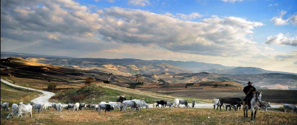 Il Pentagono - Photo 56