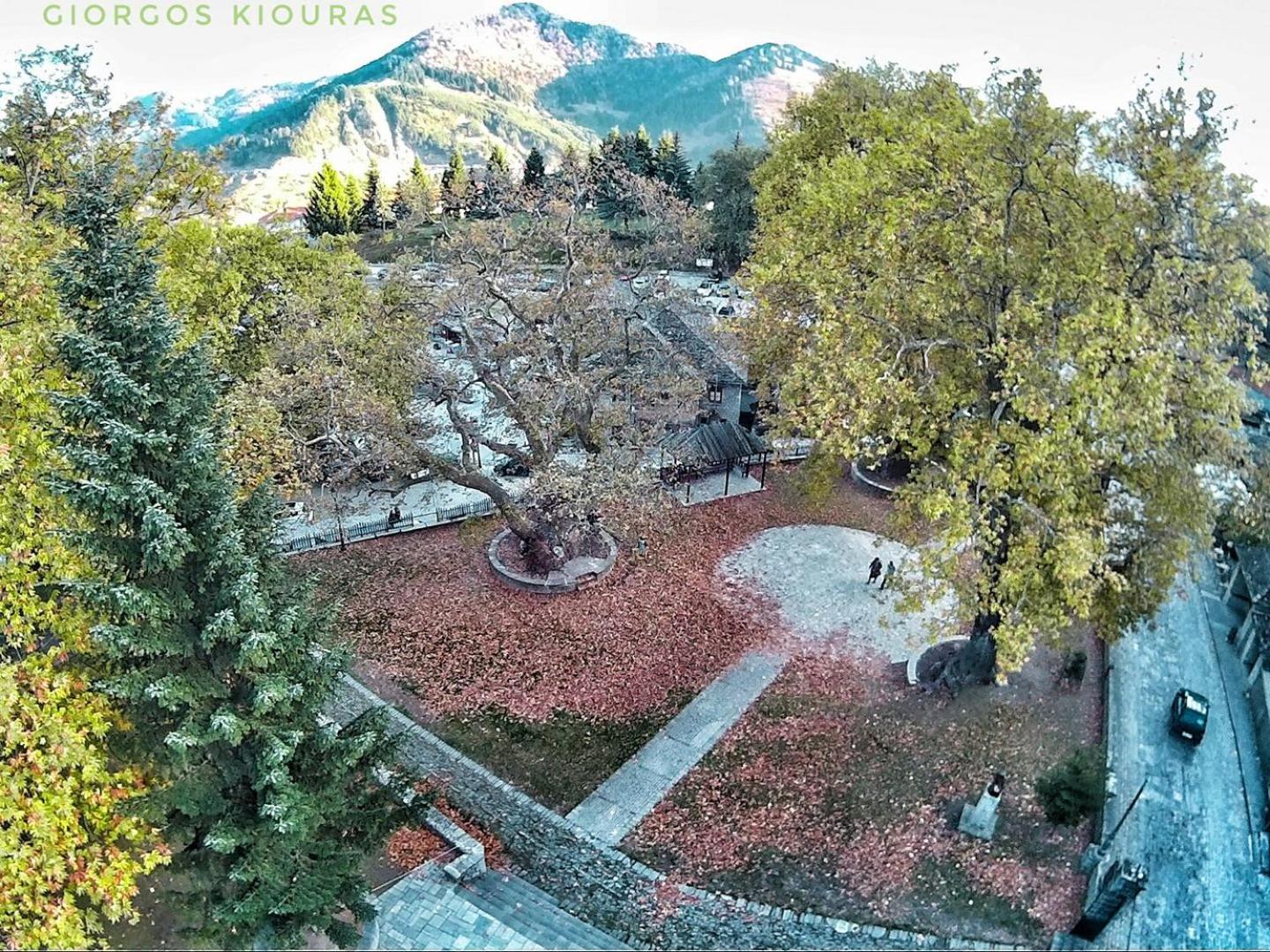 Archontiko Metsovou Luxury Boutique Spa Hotel - Photo 113