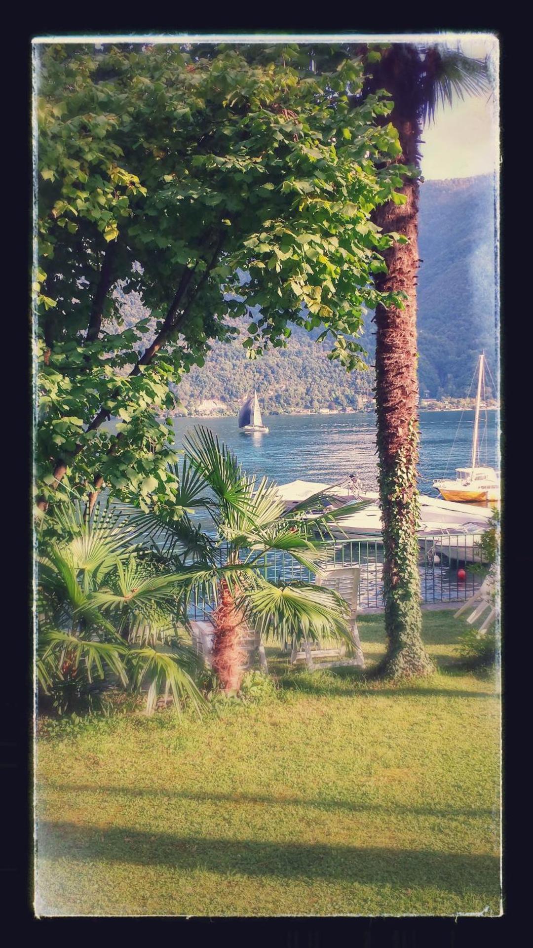 Le palme Antonella - Photo 16