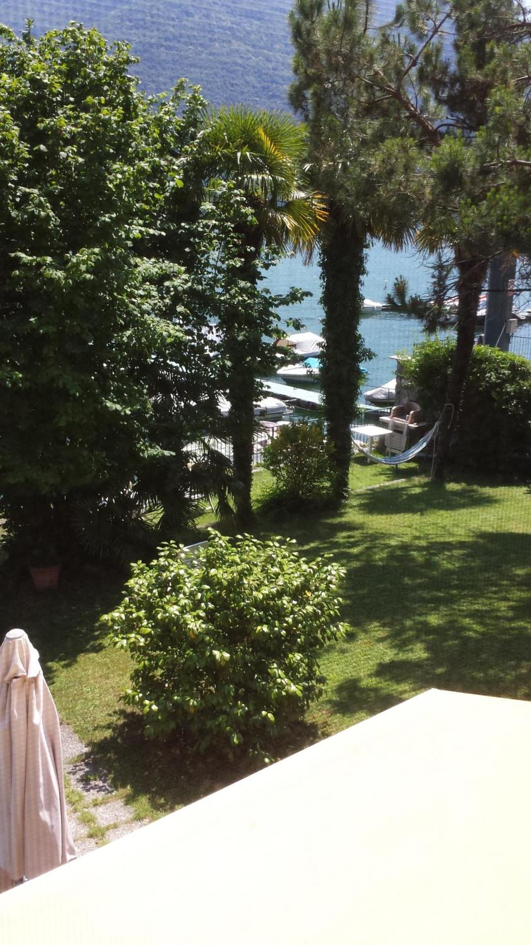 Le palme Antonella - Photo 17