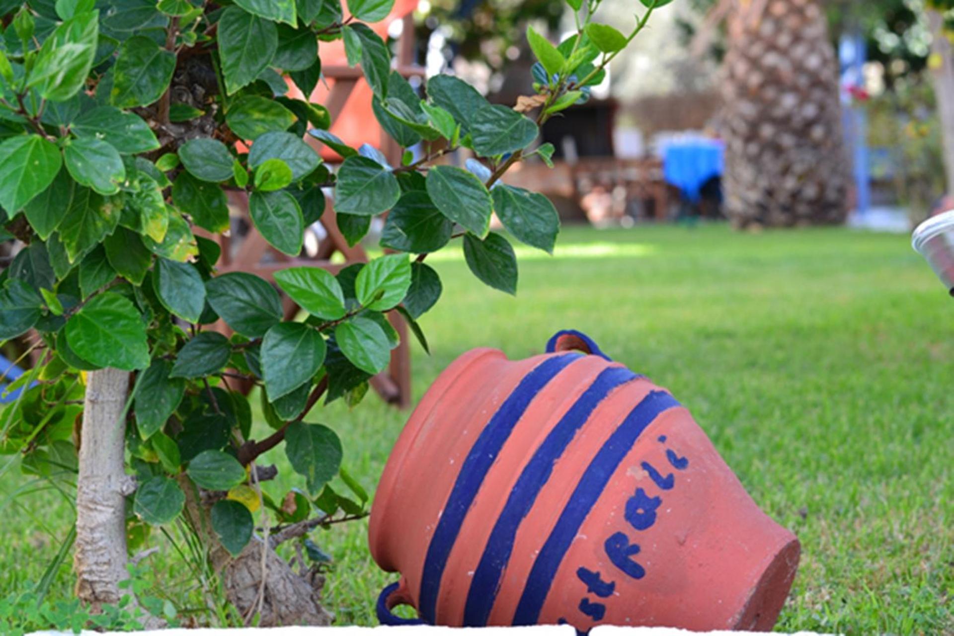 Maistrali Studios - Photo 12