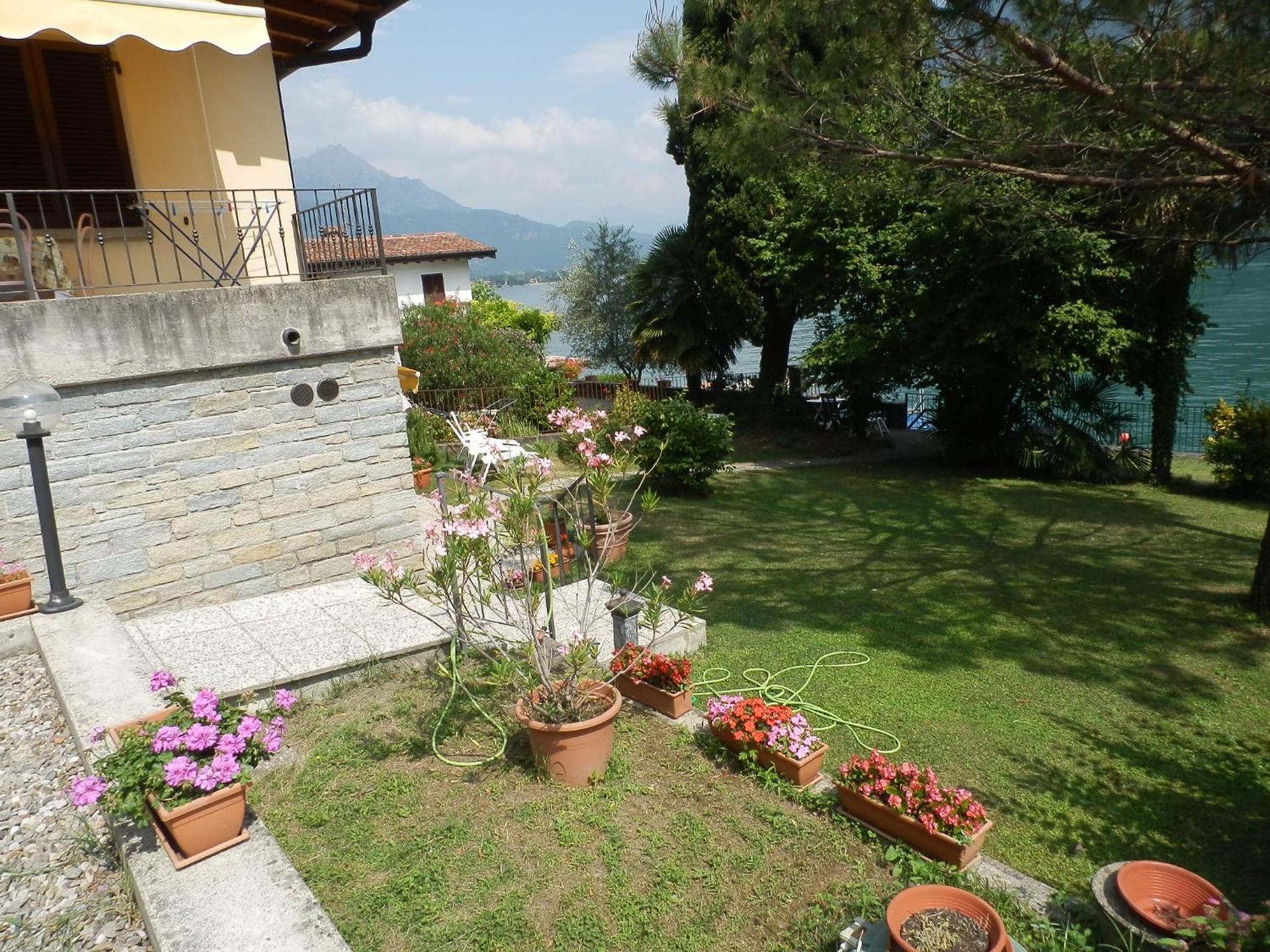 Le palme Antonella - Photo 13