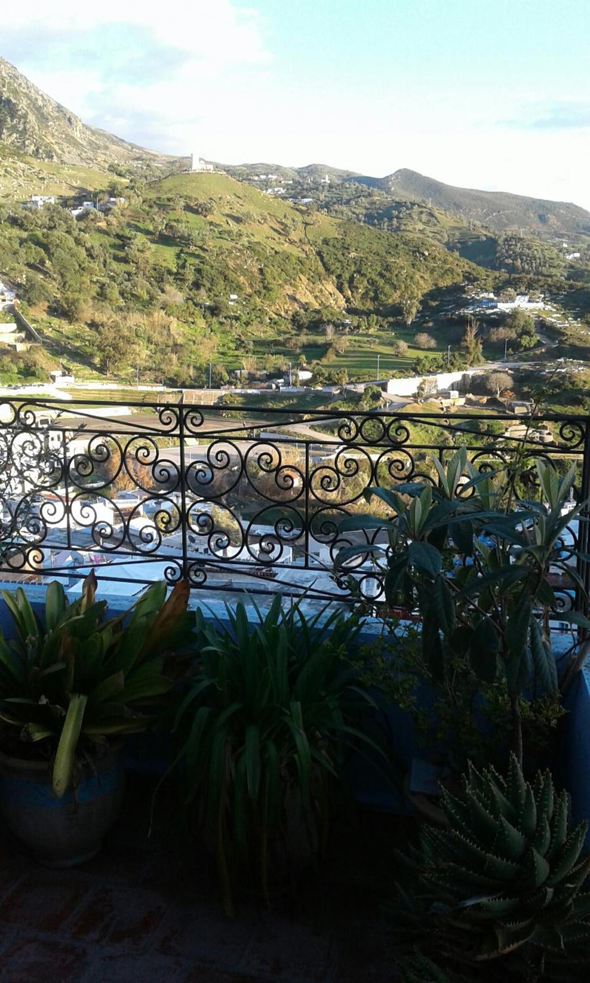 Dar Lbakal - Photo 93