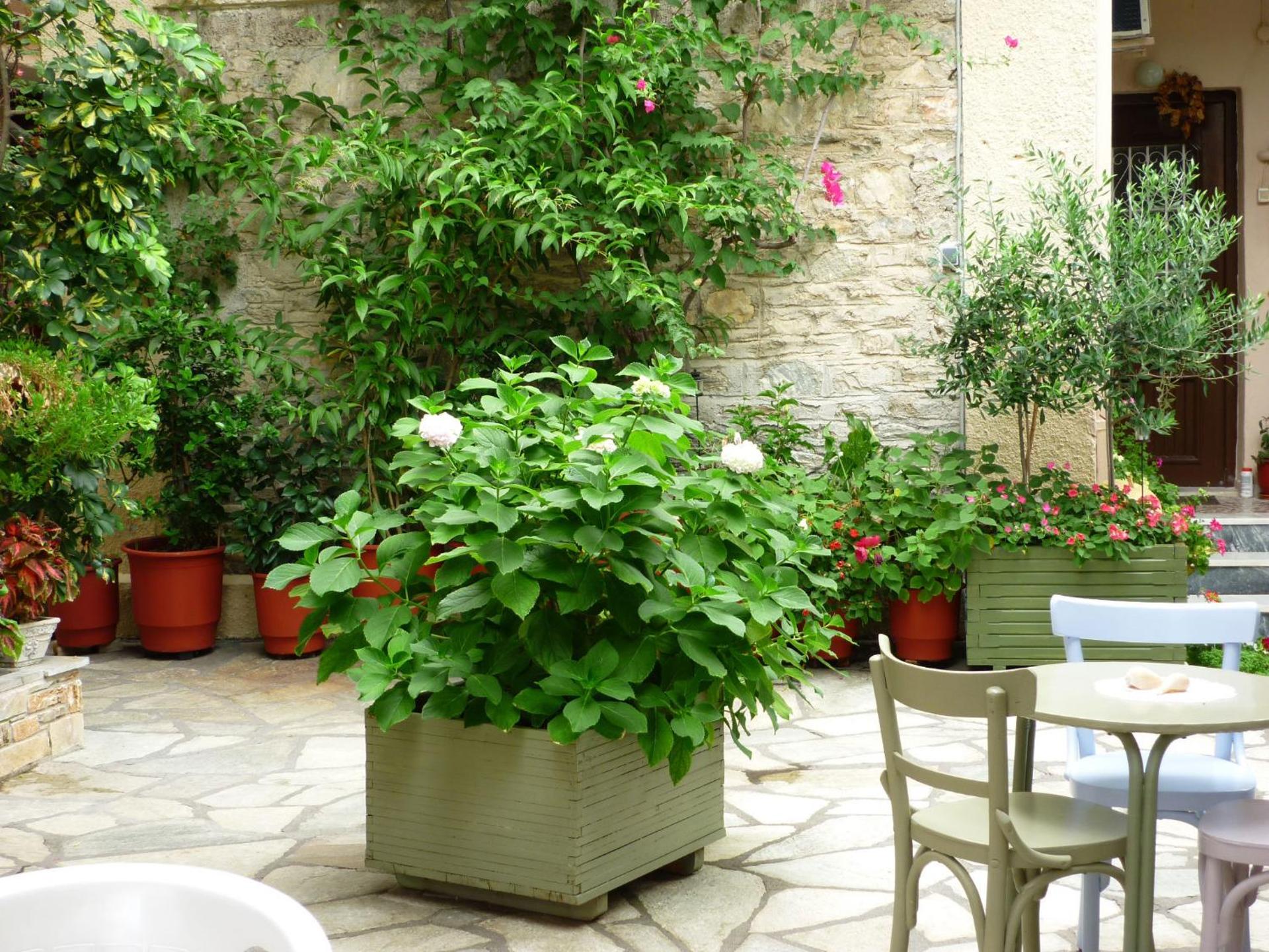 Katerina Apartments - Photo 30