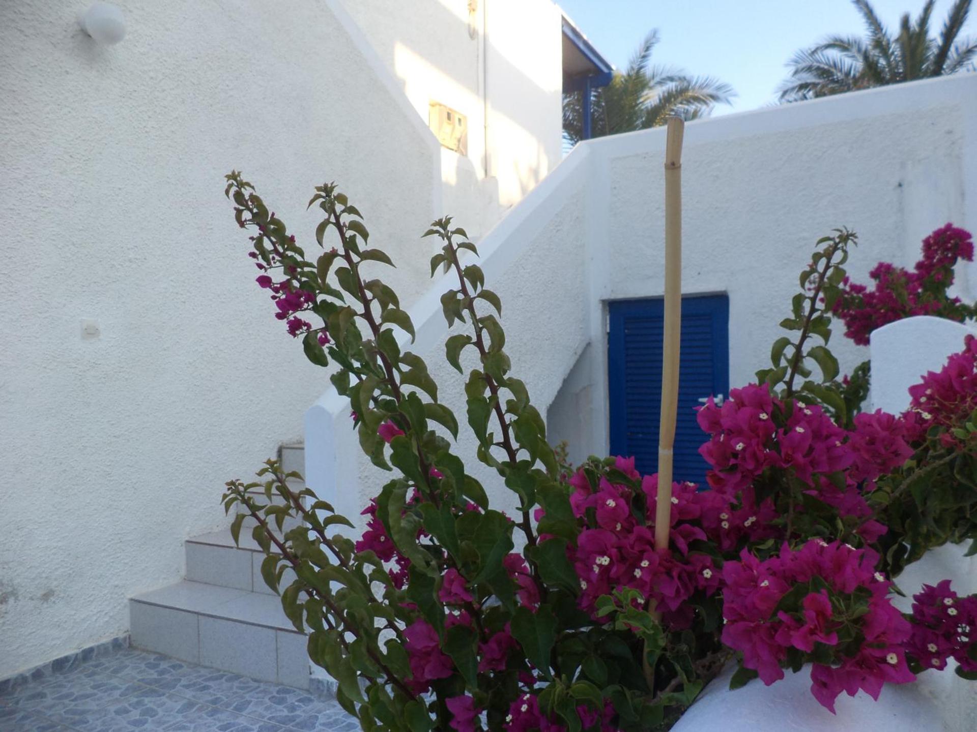 Marina's Studios Serifos - Photo 31