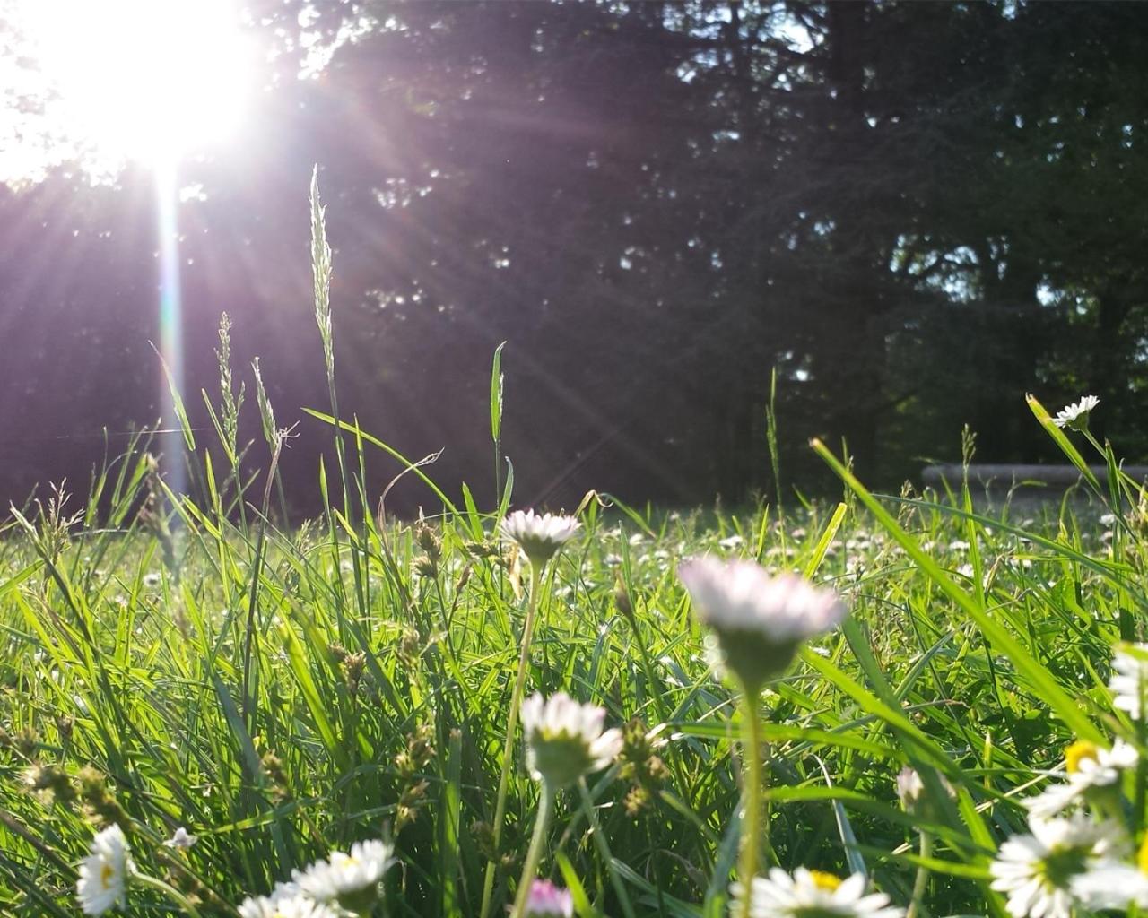 Agriturismo Villa Gropella - Photo 12