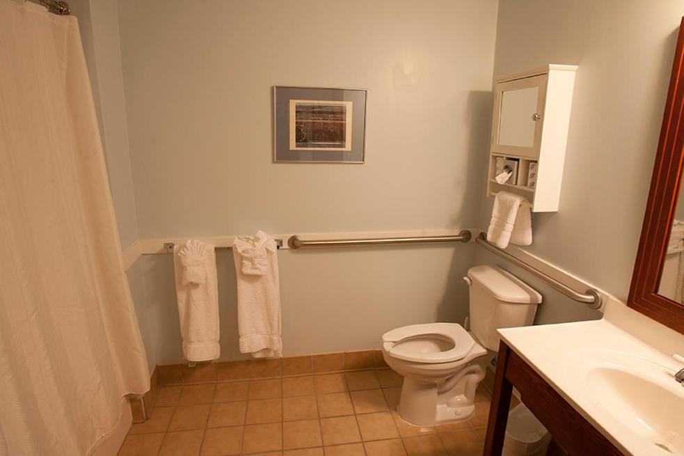 Allegheny Springs - Photo 8