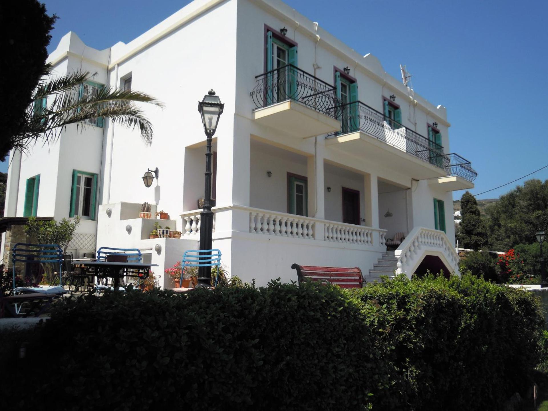 Blue Dolphin - Photo 133