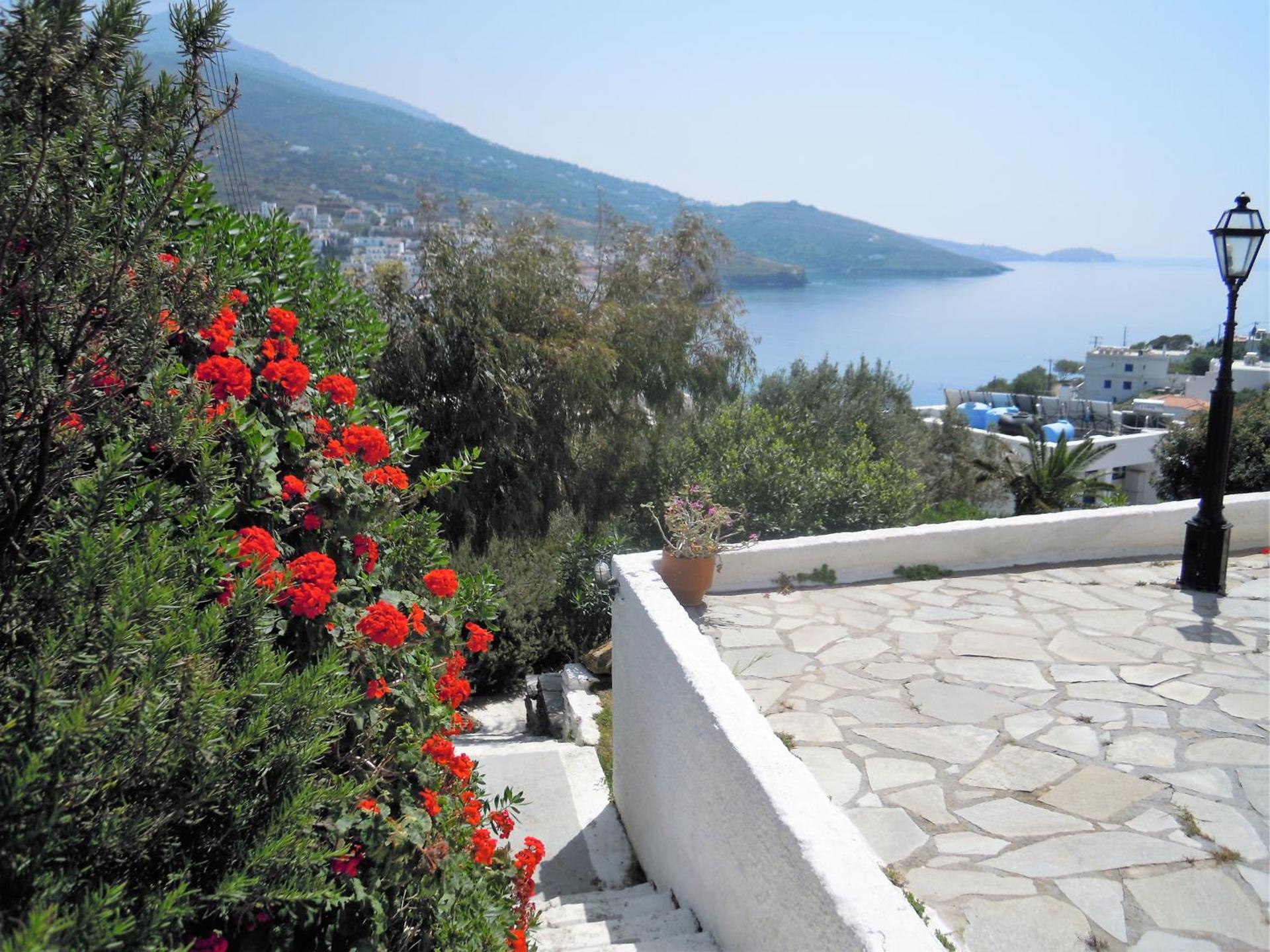 Blue Dolphin - Photo 177