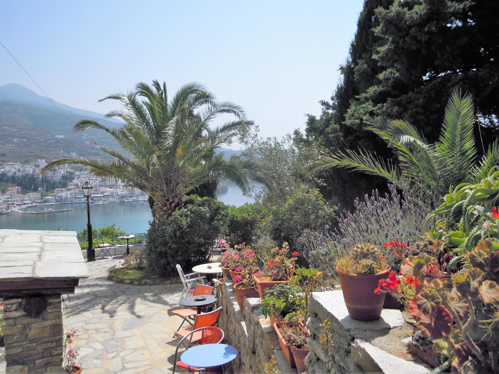 Blue Dolphin - Photo 163