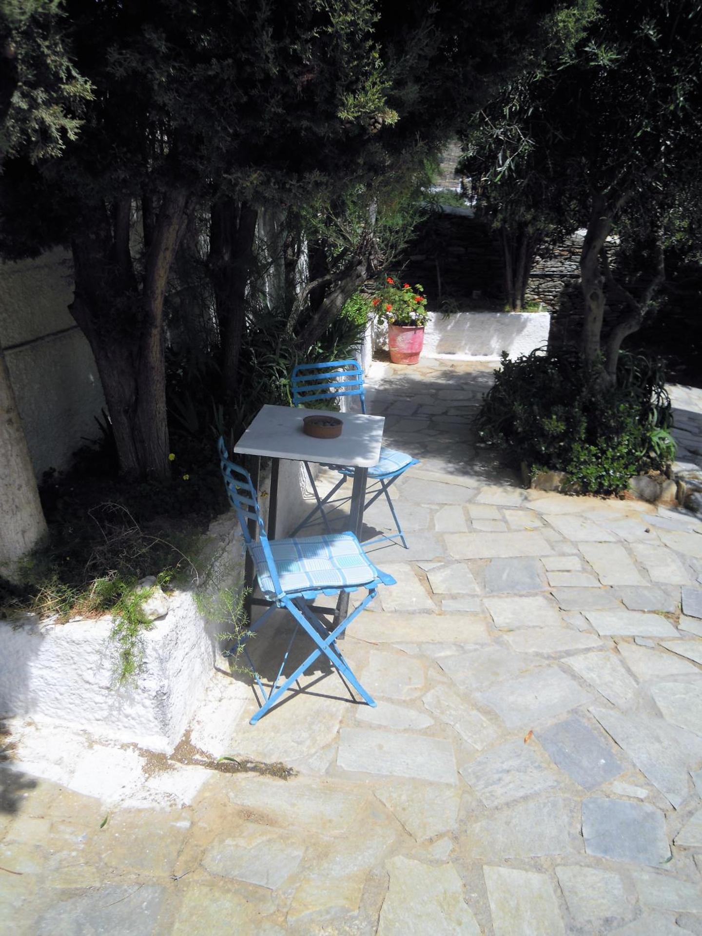 Blue Dolphin - Photo 165