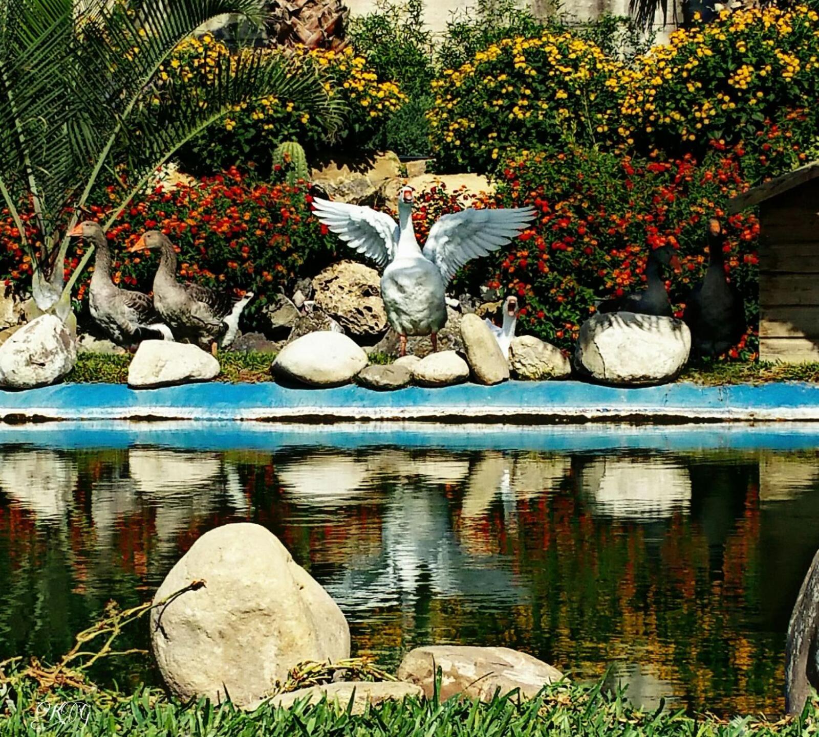 Agriturismo Gianferrante - Photo 21