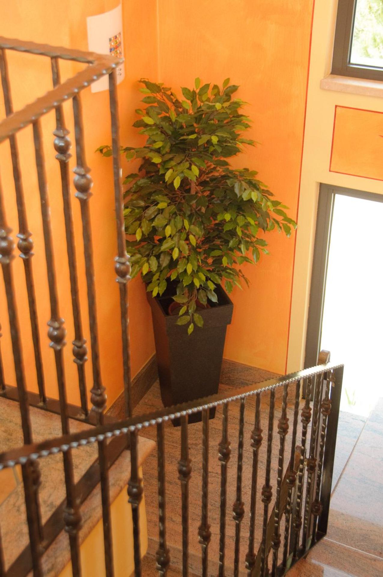 Hotel Villa Rosa - Photo 88