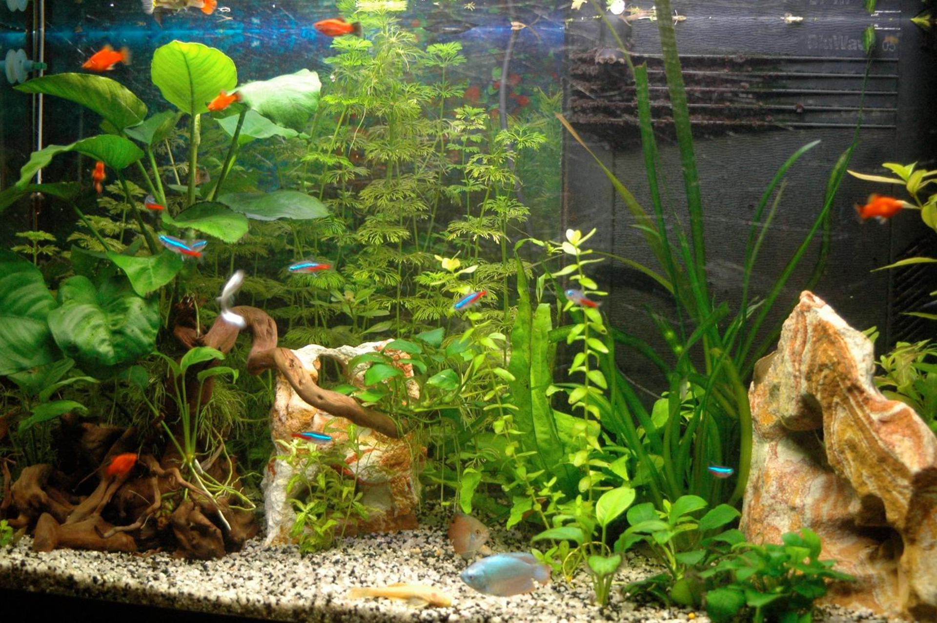 Hotel Principe - Photo 15