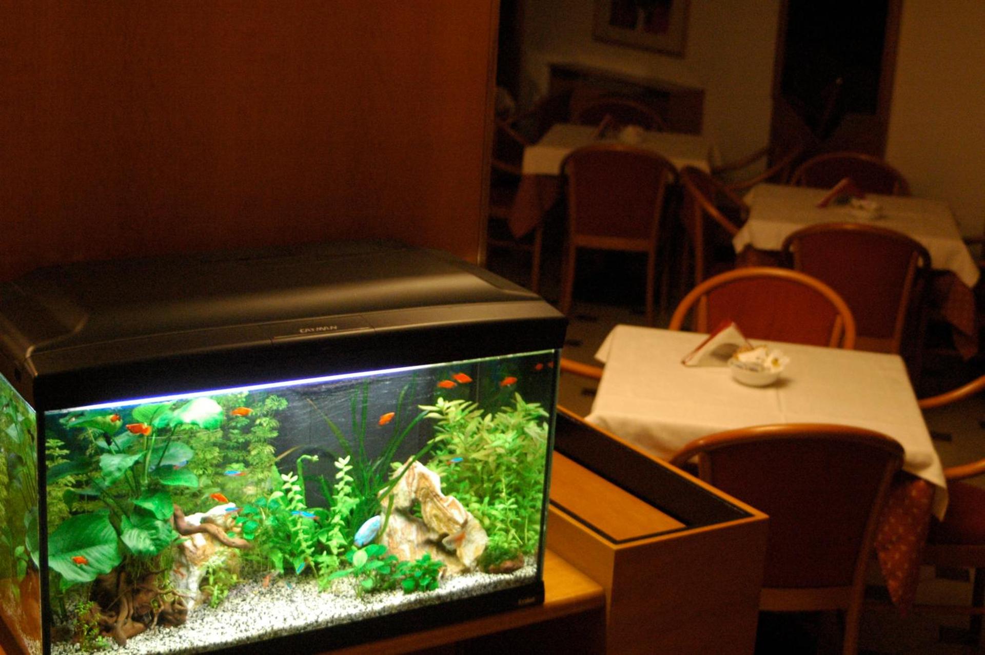 Hotel Principe - Photo 17