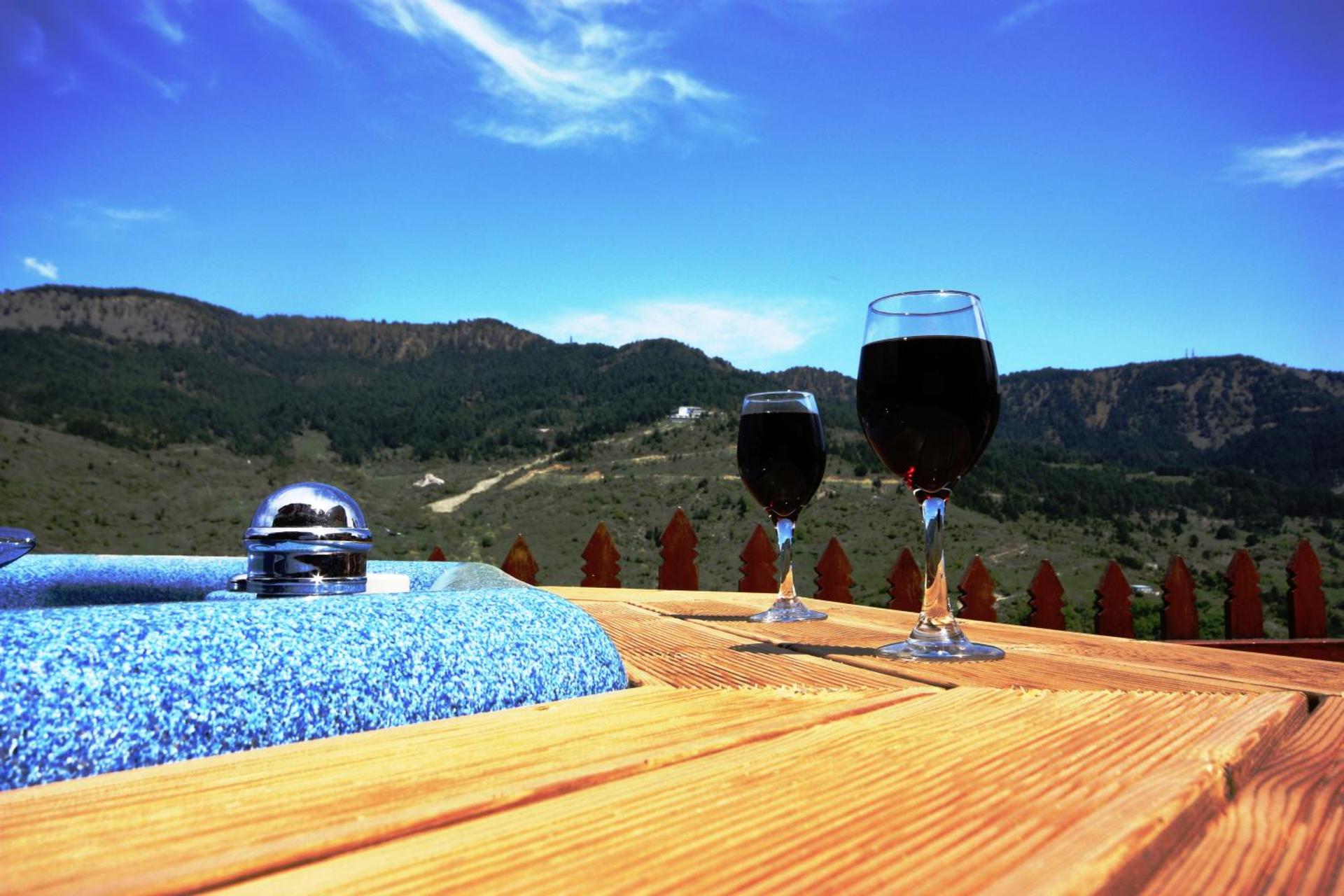 Archontiko Metsovou Luxury Boutique Spa Hotel - Photo 52