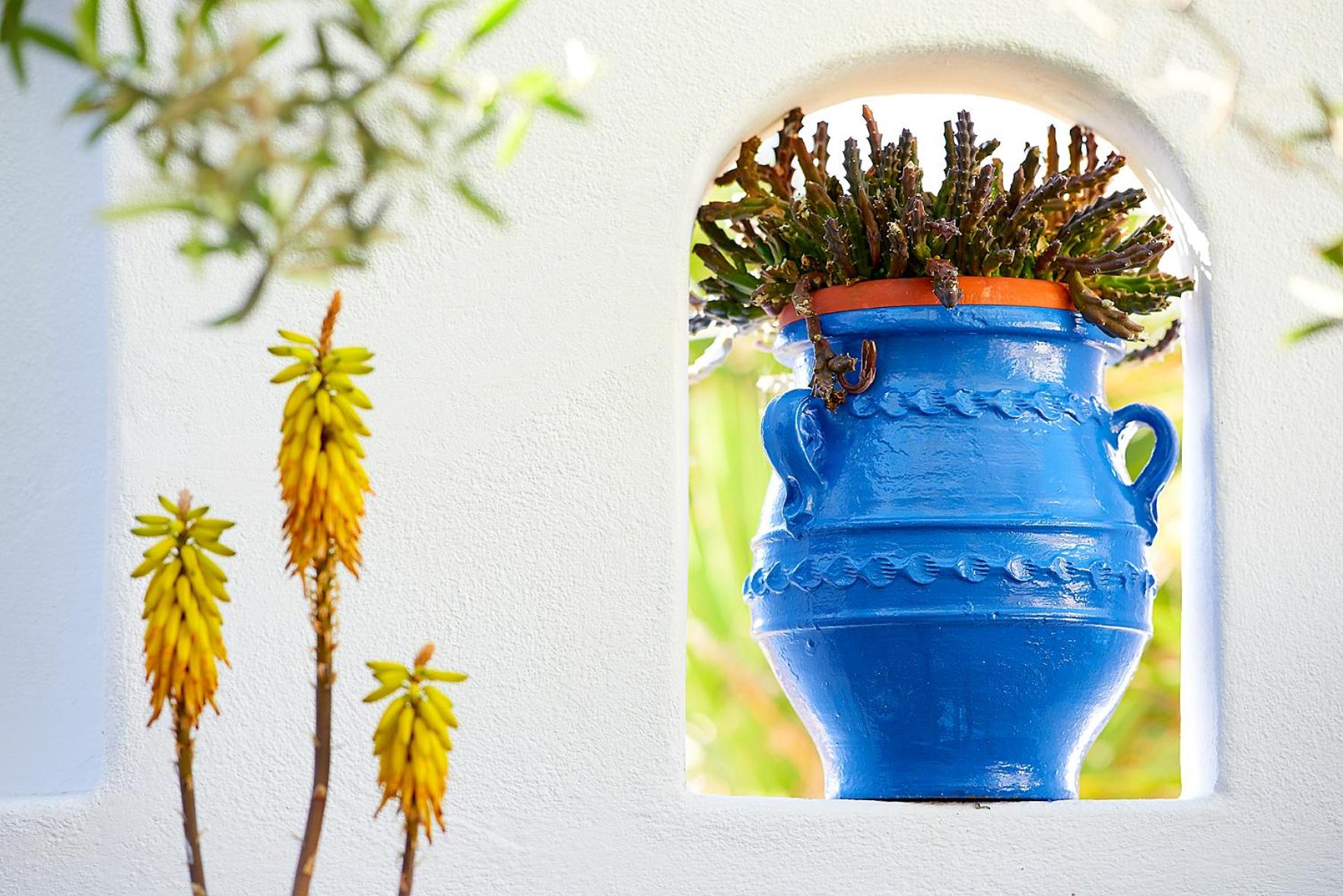 Elia Studios Pollonia - Photo 2