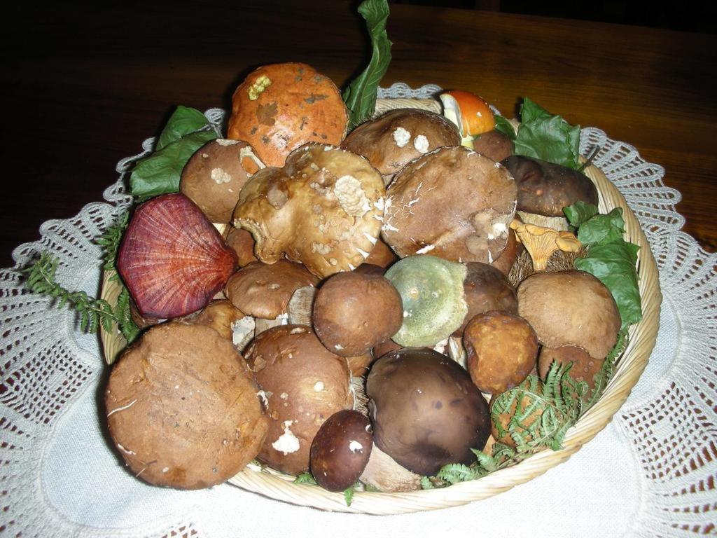 Villa delle Rose - Hotel Paradiso - Photo 59