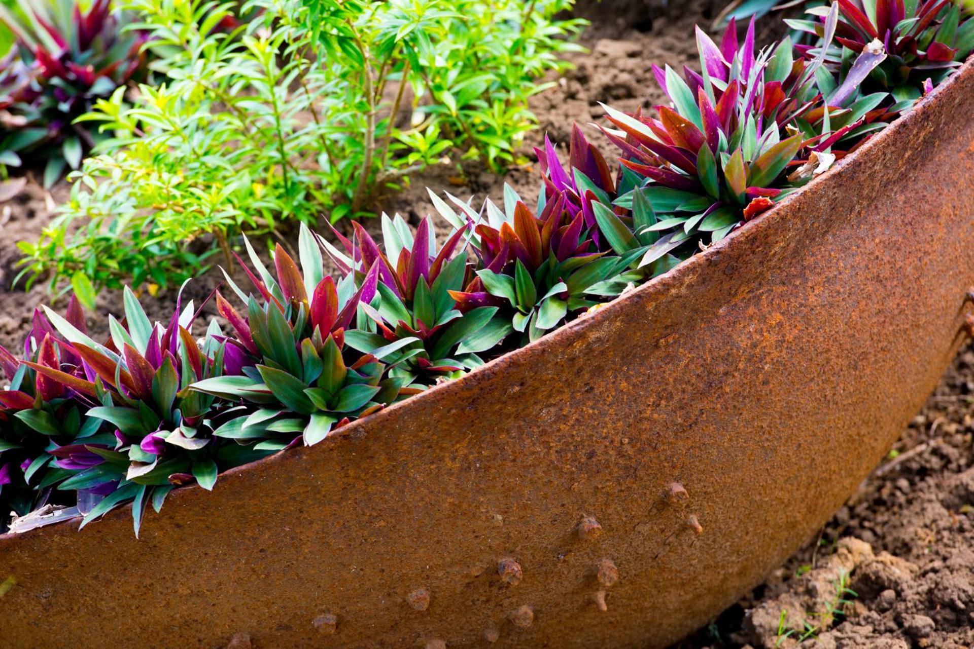 Hotel Alexandrina - Photo 62