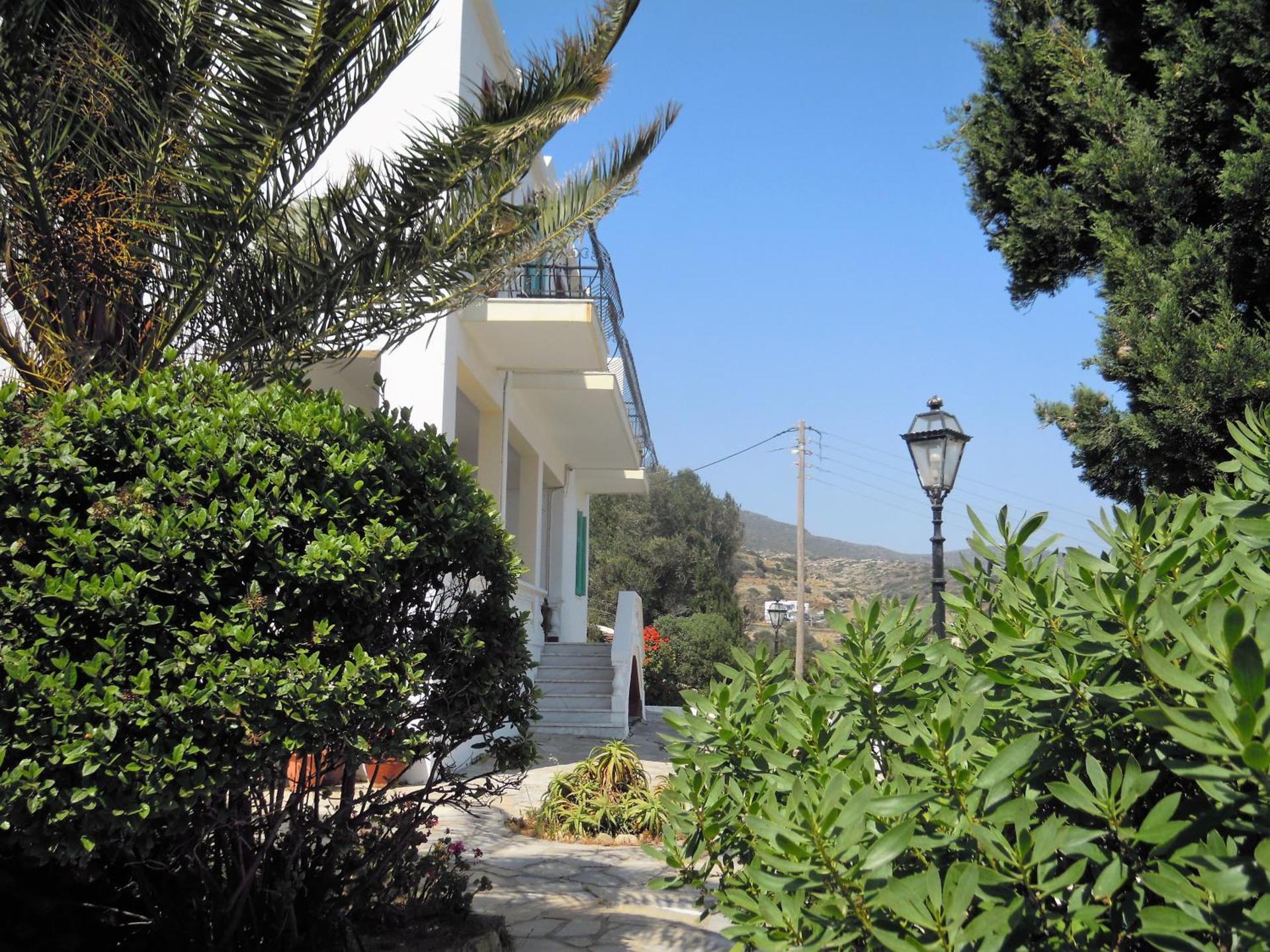 Blue Dolphin - Photo 250