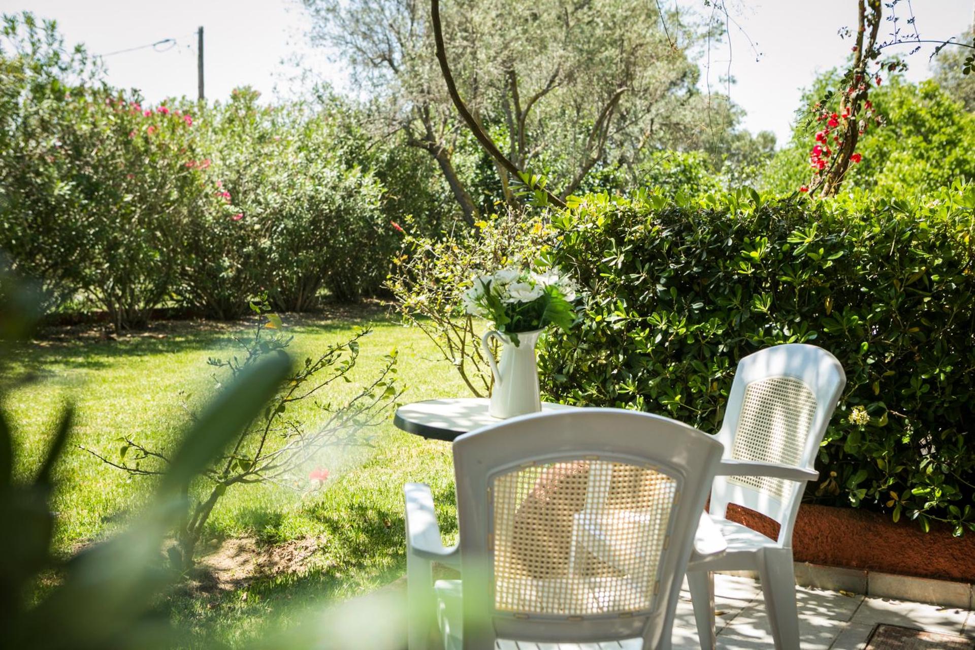 Dendrolivano - Photo 5