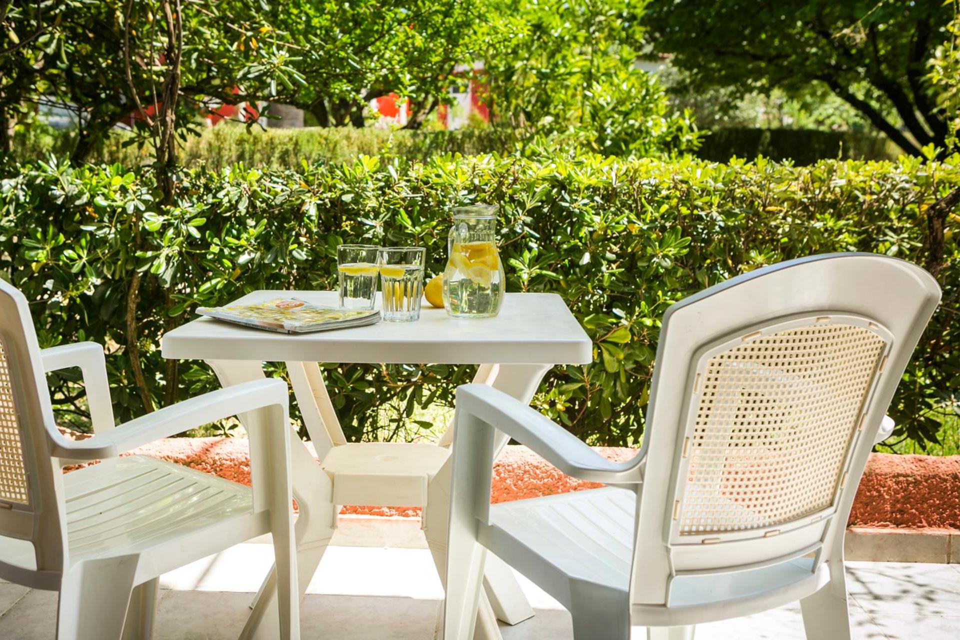 Dendrolivano - Photo 54