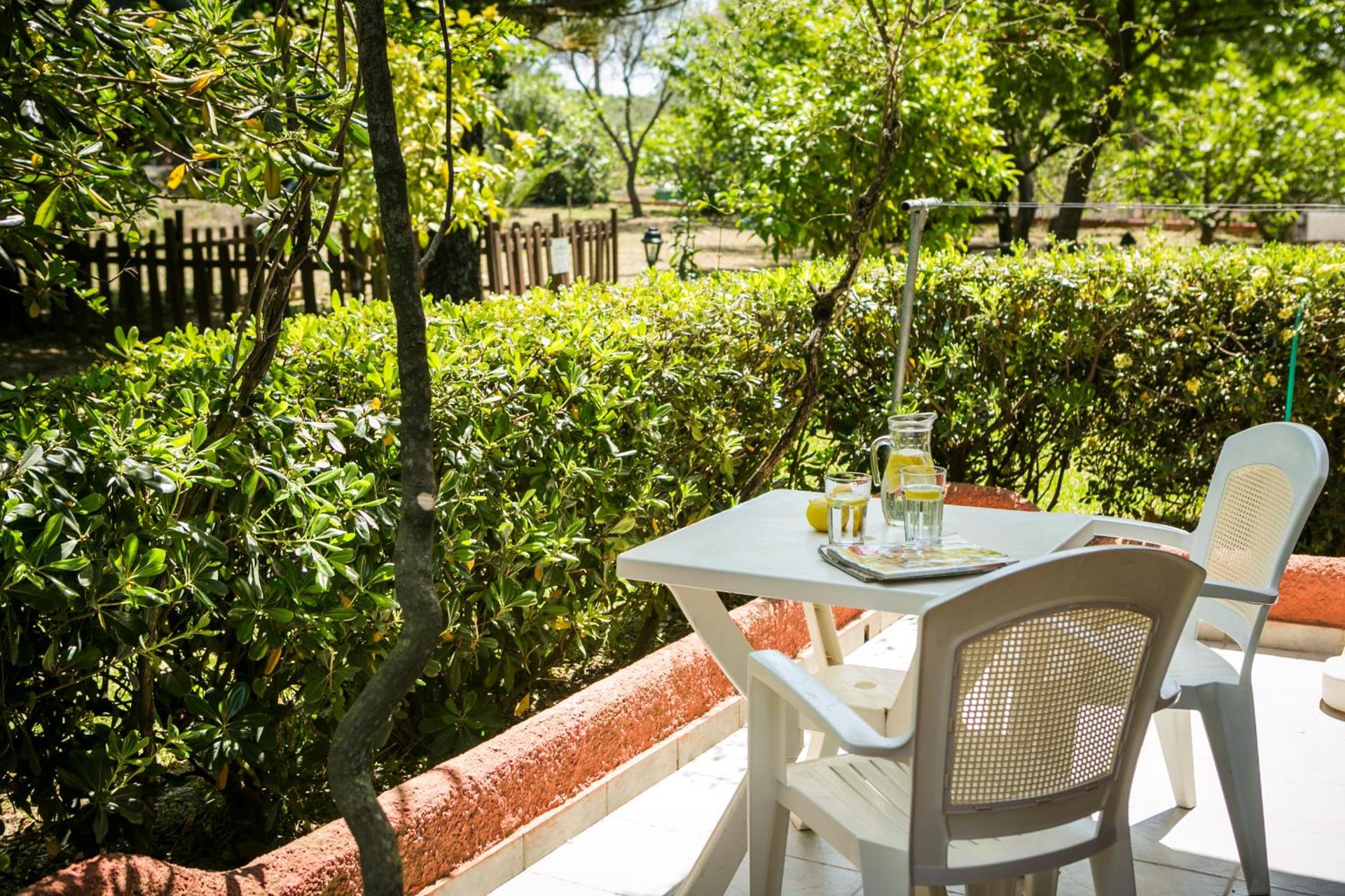 Dendrolivano - Photo 12