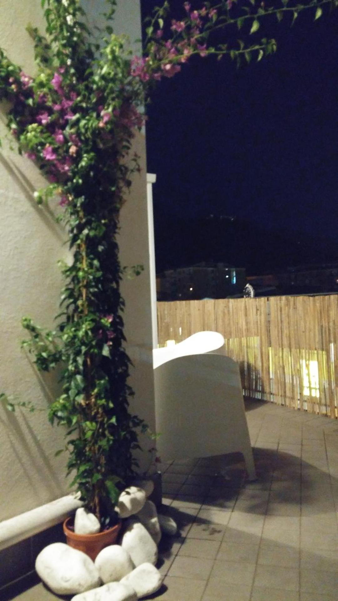 Ross House - Photo 30
