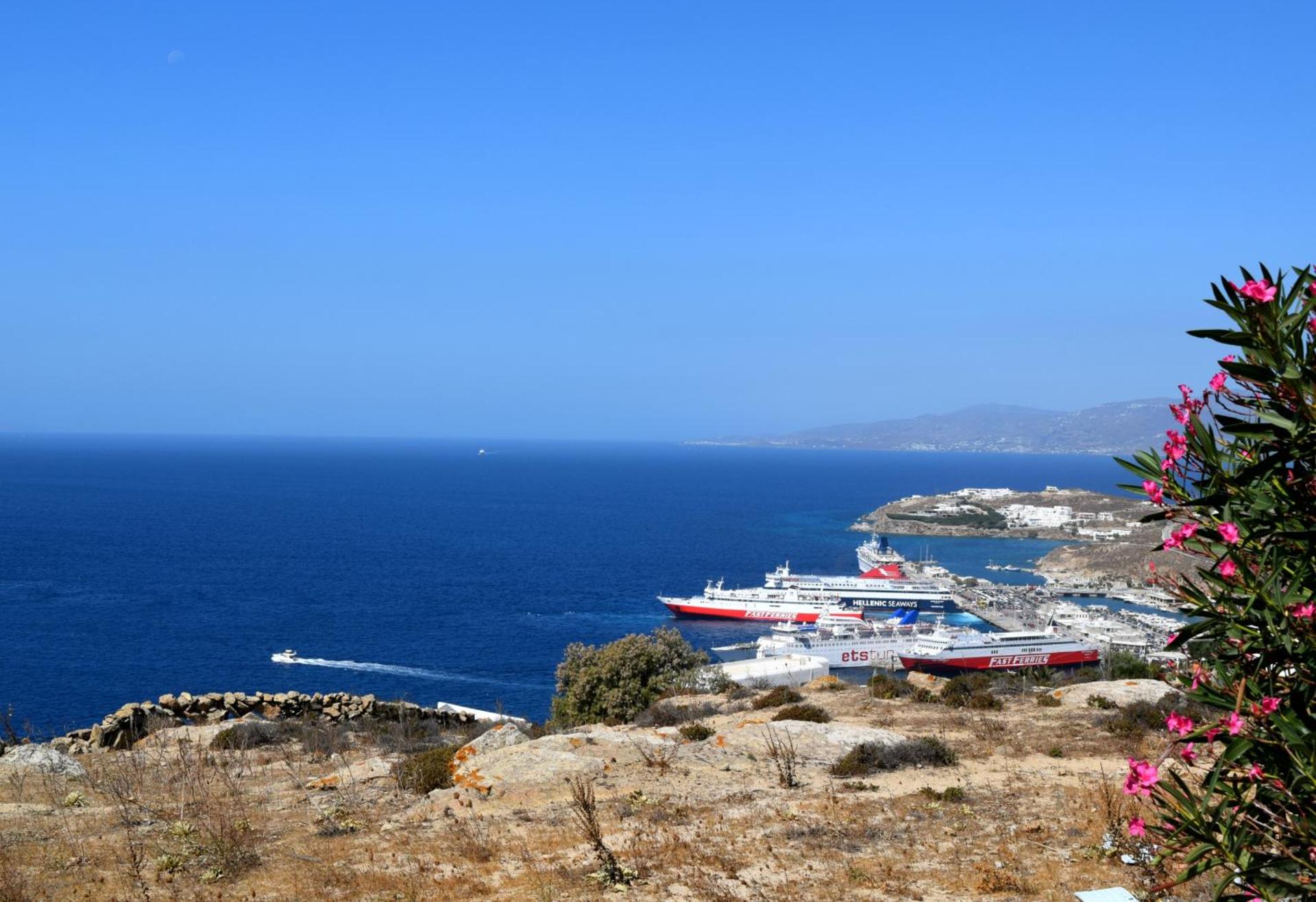 Sugar Blue - Photo 55