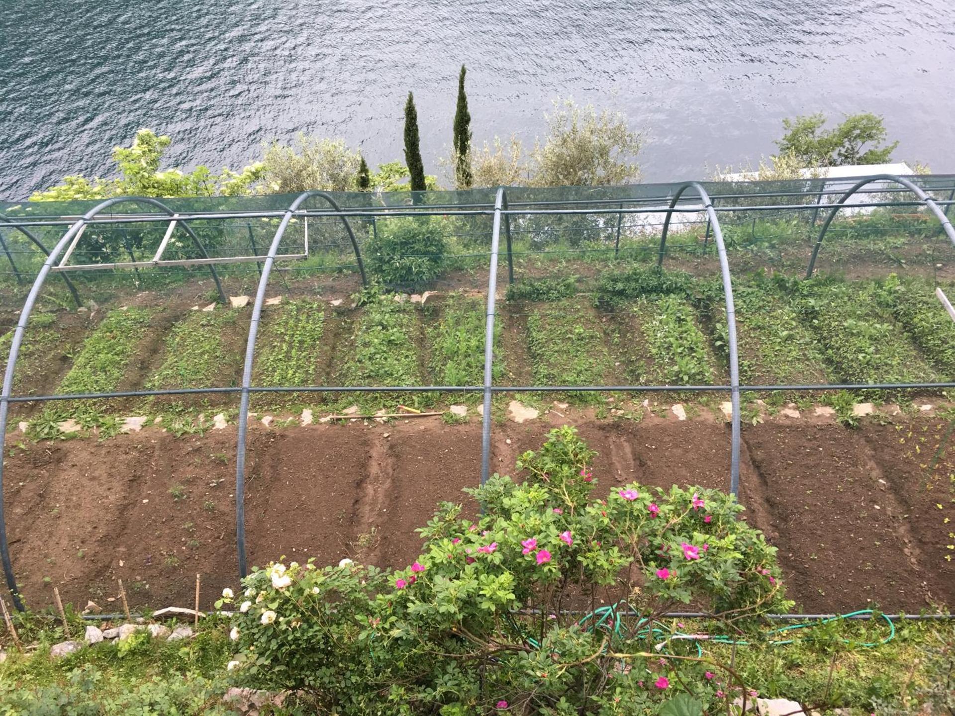 Casa Vacanza Castagna - Photo 29