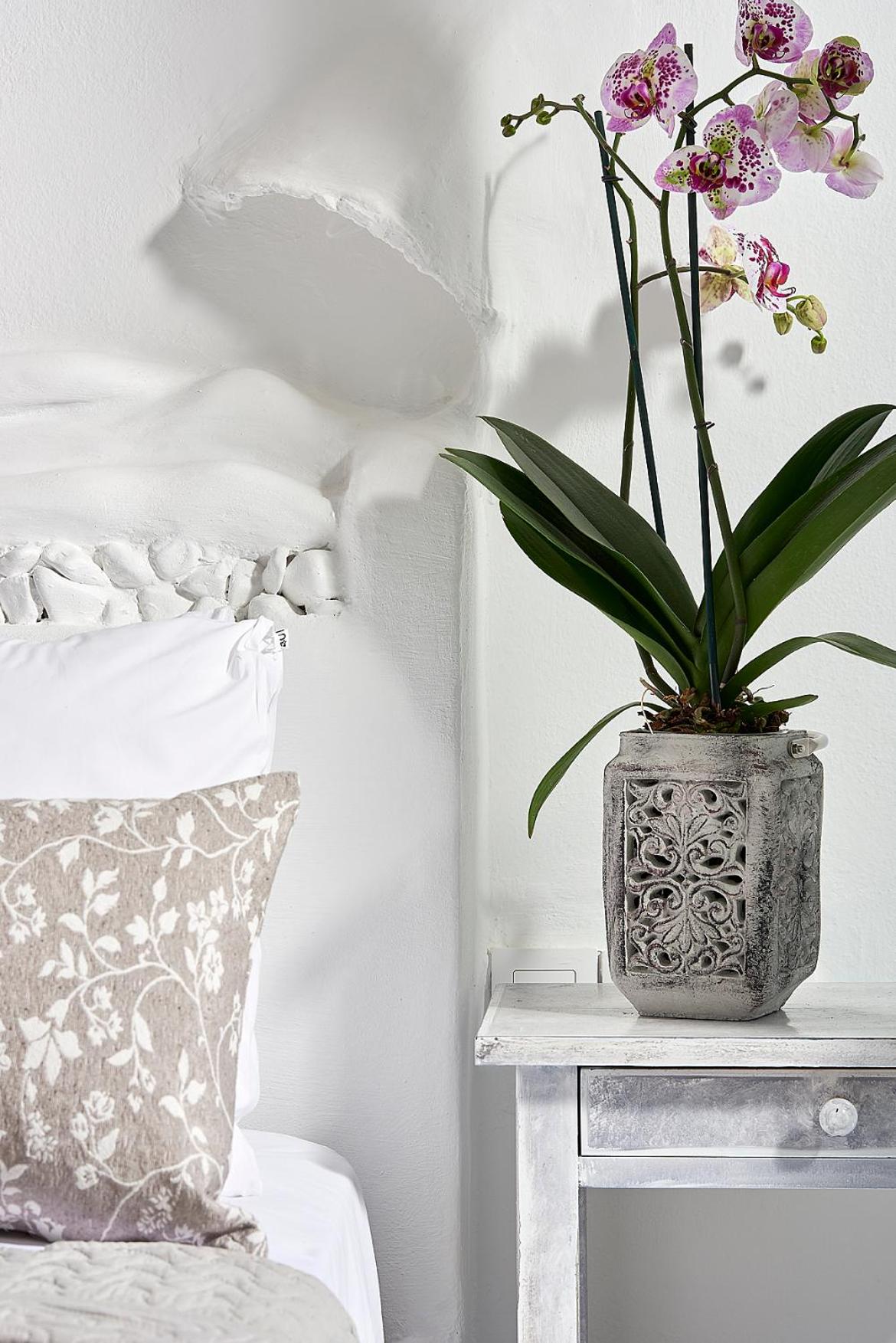 Comfort Double Room - Ground Floor