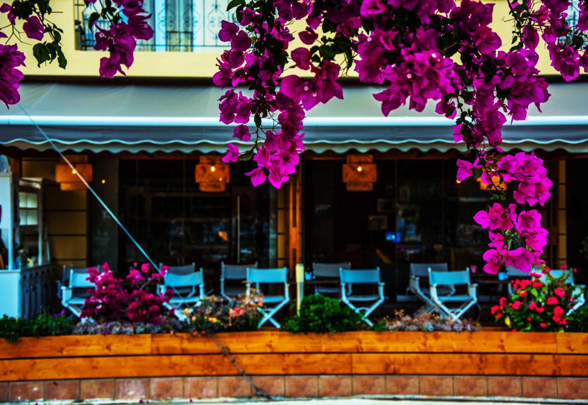 Theano Hotel - Photo 2