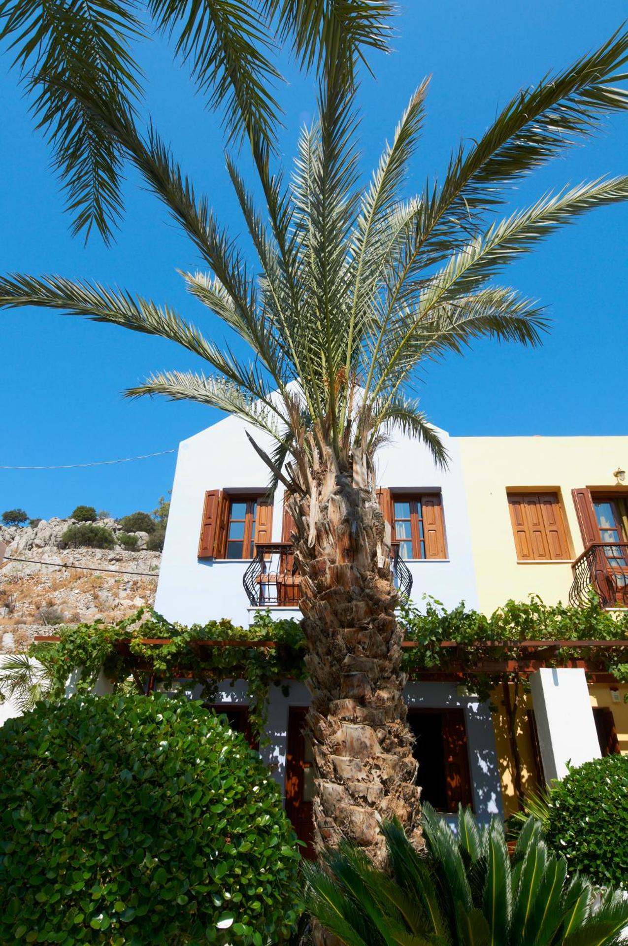 Iapetos Village - Photo 150