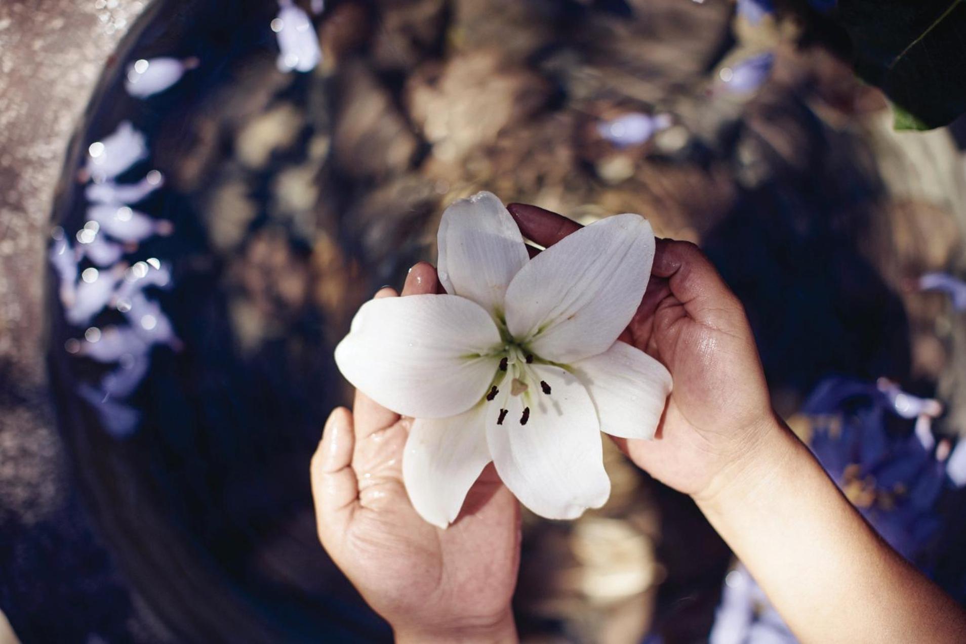 Casa de Sierra Nevada, A Belmond Hotel, San Miguel de Allende - Photo 61