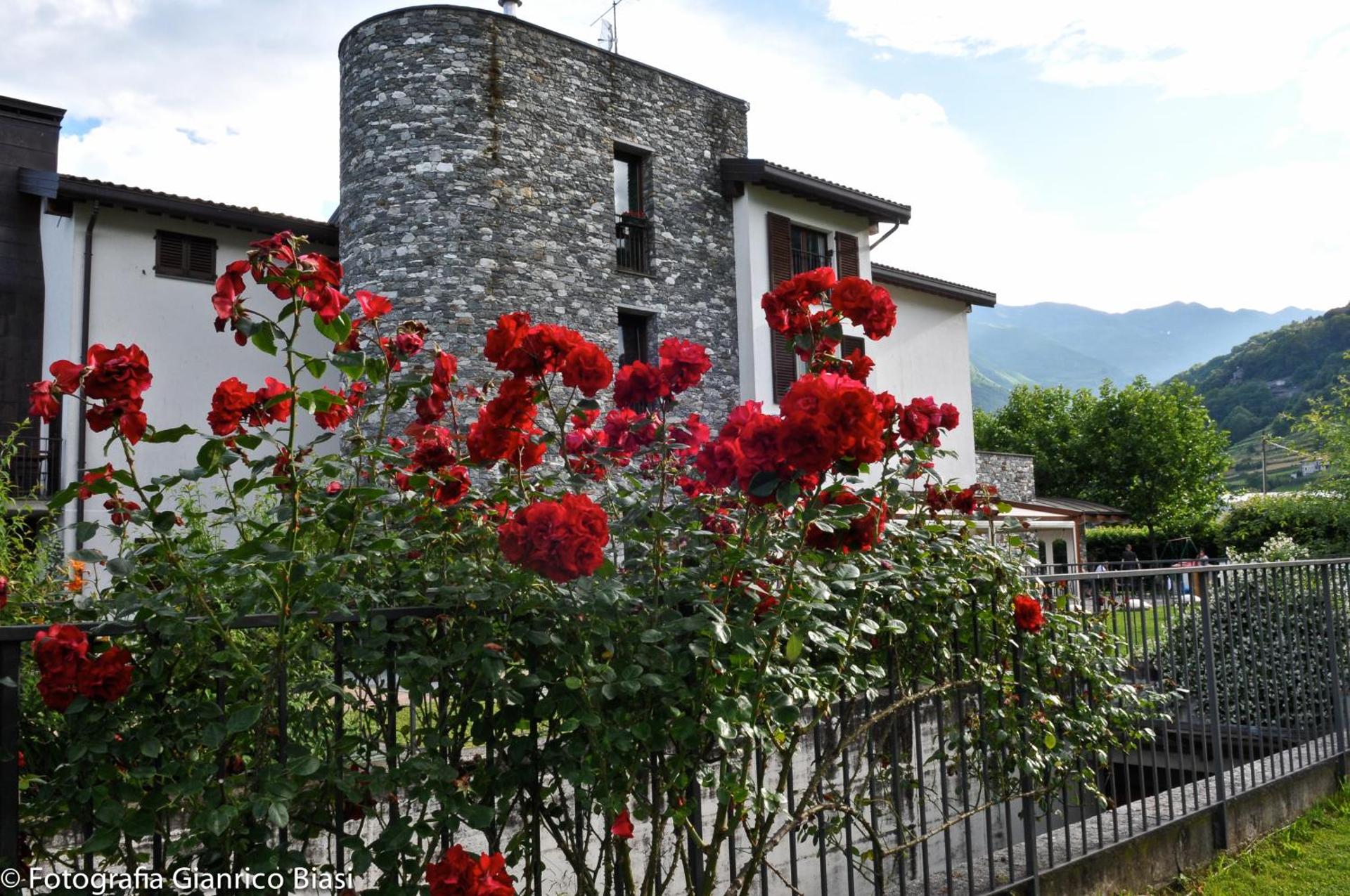 Agriturismo Cà Del Lago - Photo 98