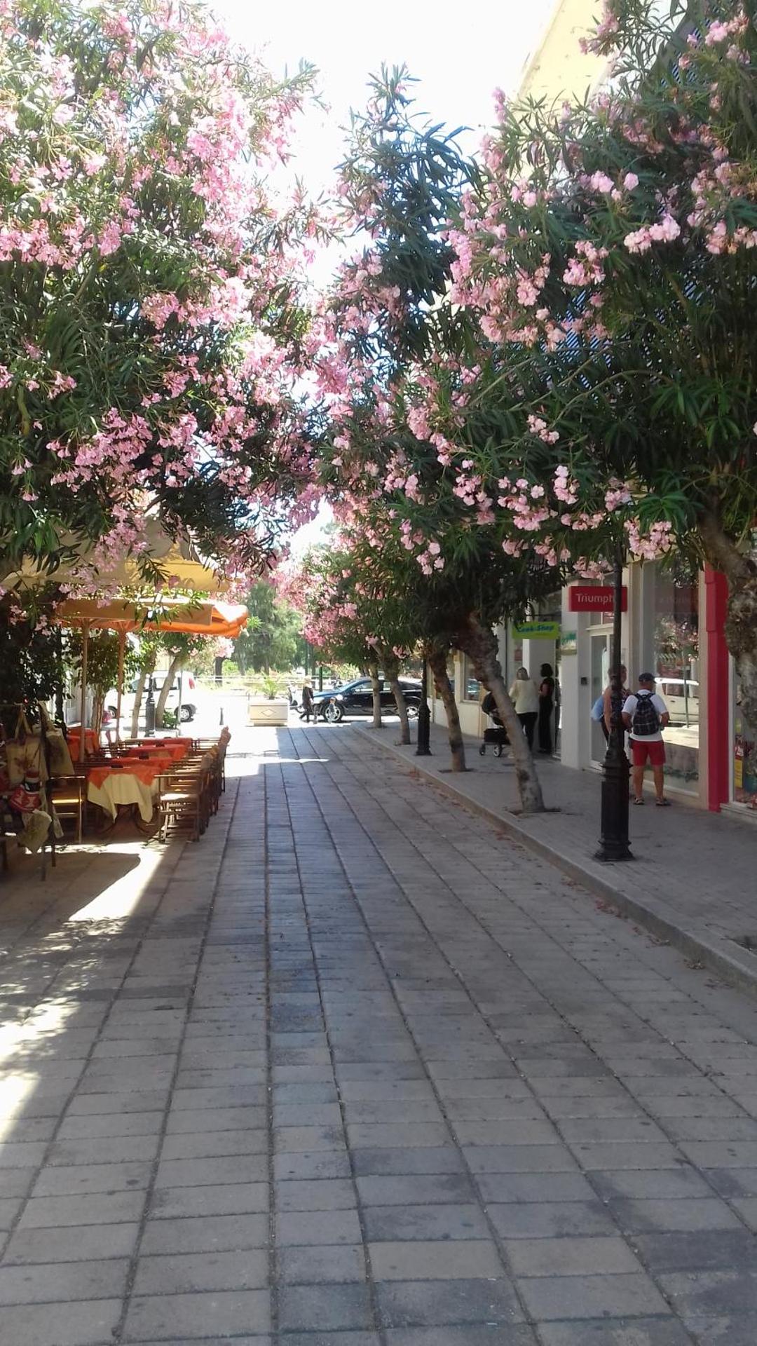 Milva Apartments - Photo 59