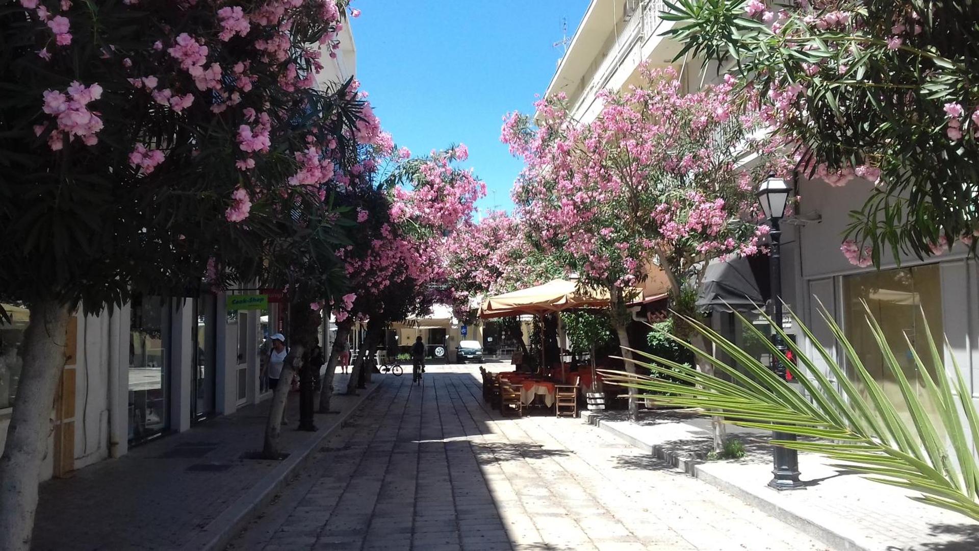 Milva Apartments - Photo 27