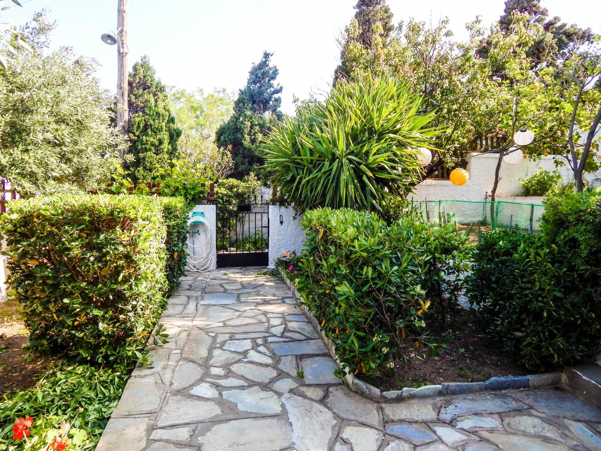 Anemoesa - Photo 110