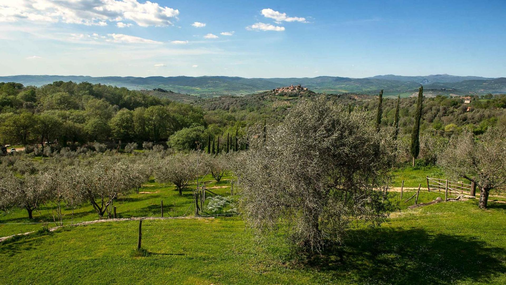 Agriturismo Bio Le Macchie Alte - Photo 52